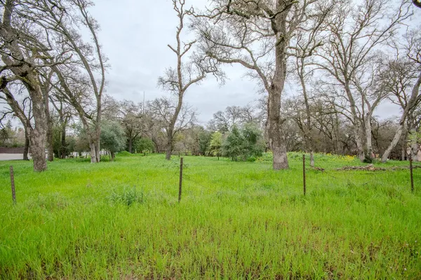 a view of yard with green space