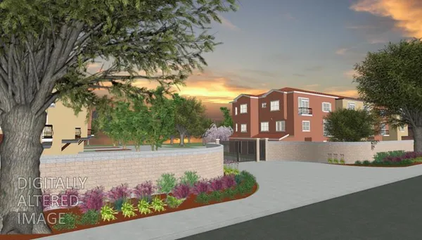 a view of a street with a tree in front of it