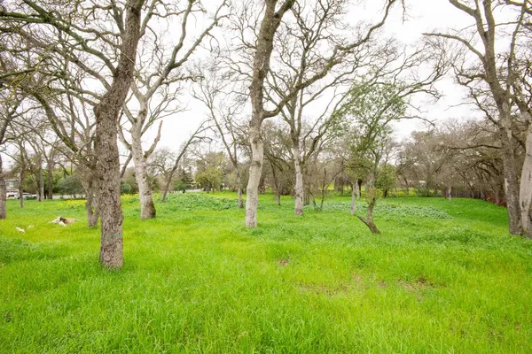 a view of yard with green space
