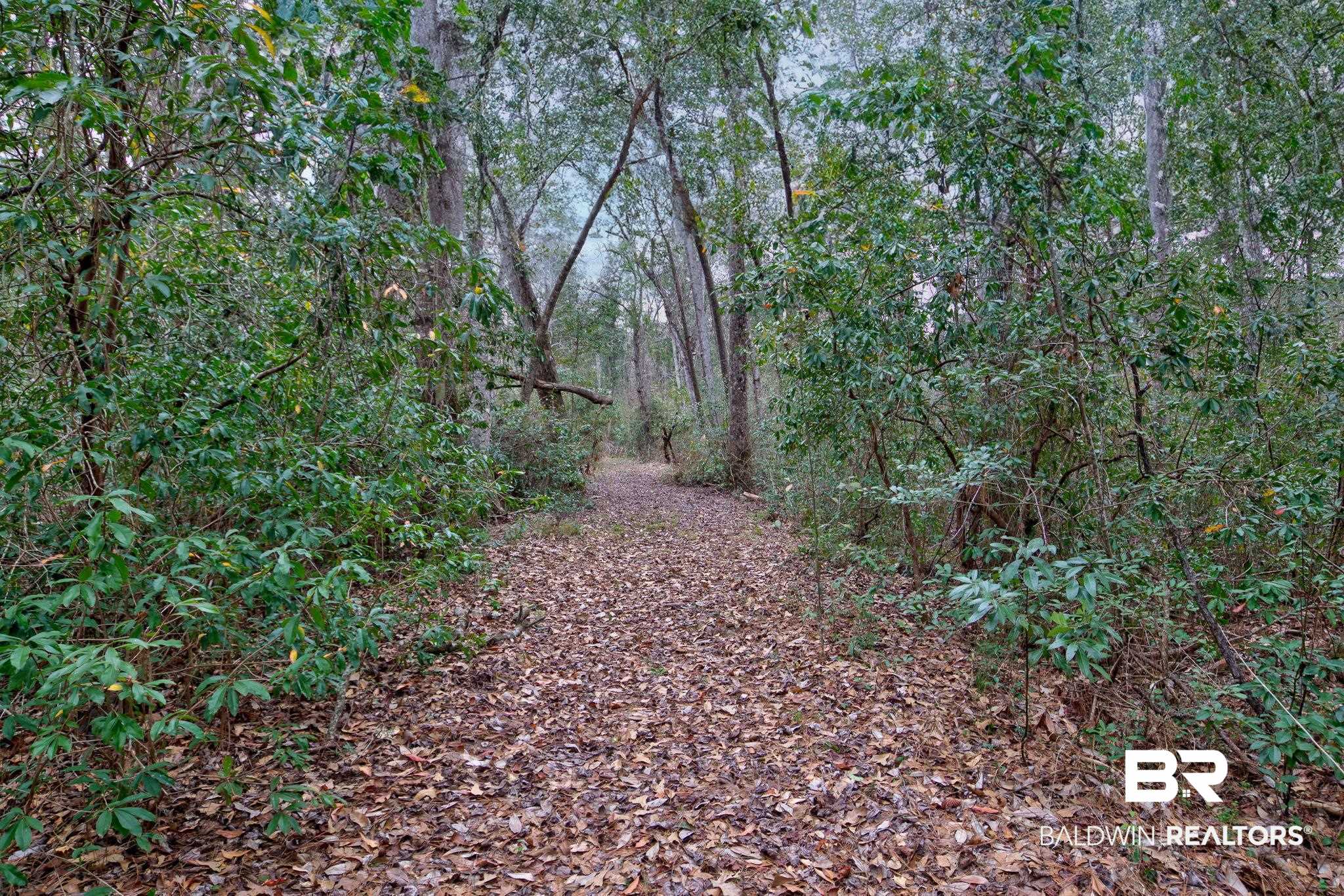 10561 McKenzie Road Fairhope, AL 36532 - Photo 14 of 48