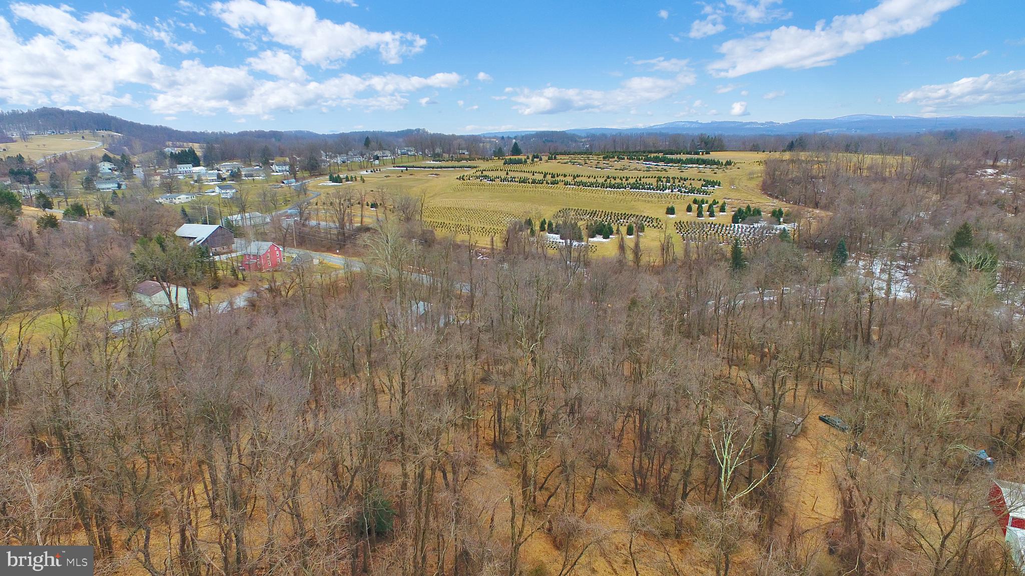 222 Stetler Road New Cumberland, PA 17070 - Photo 36 of 37 Gallery Image 36