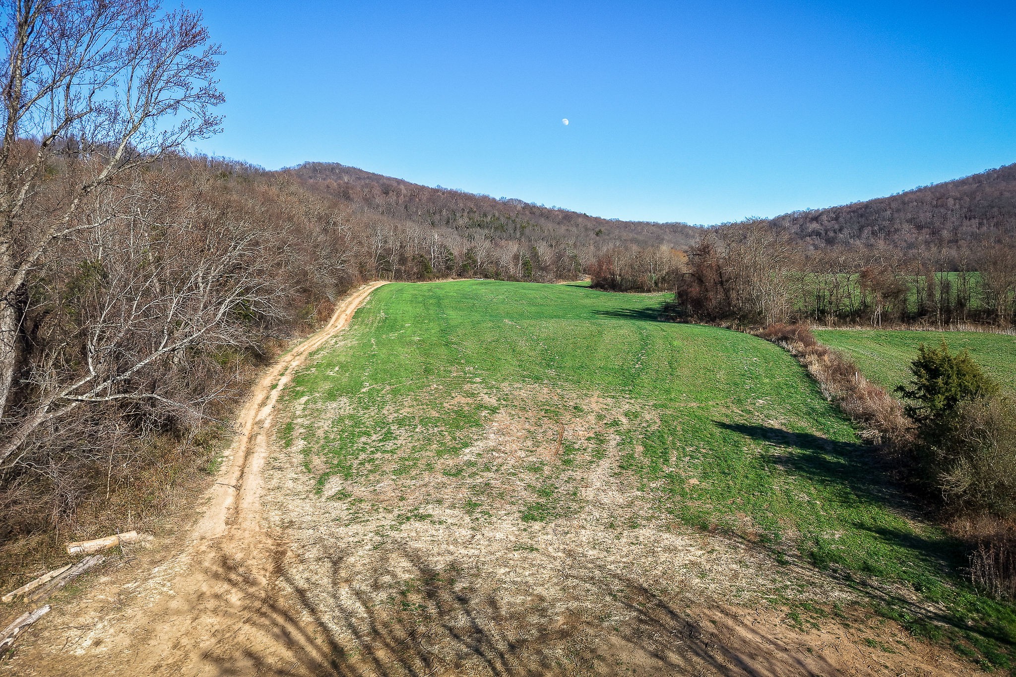 505 Thaxton Road McMinnville, TN 37110 - Photo 21 of 31 a view of a lush green outdoor space with a mountain