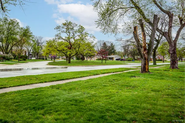 a view of a park