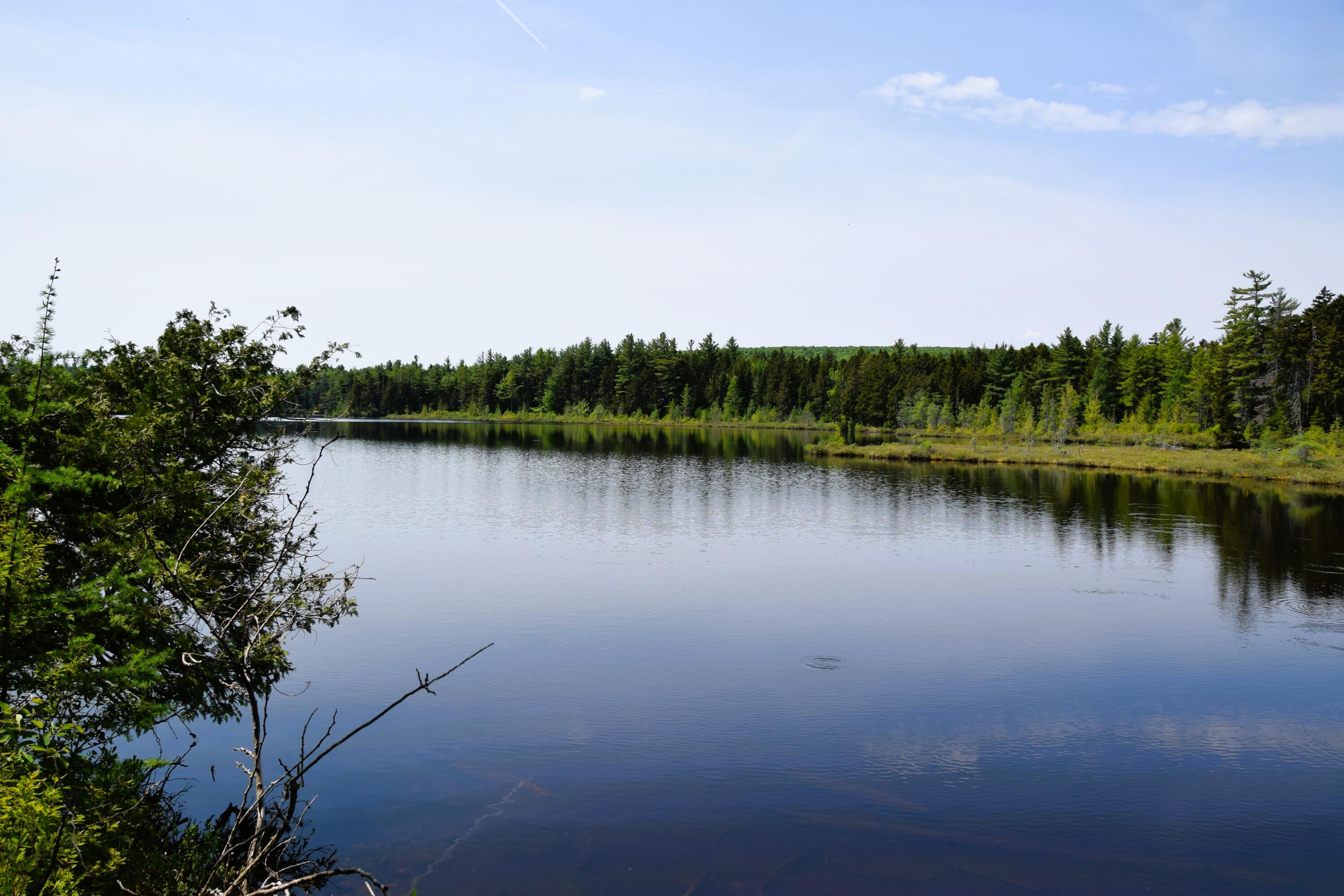 Ms03-l17.3 Carry Pond Road Bingham, ME 04920 - Photo 8 of 19