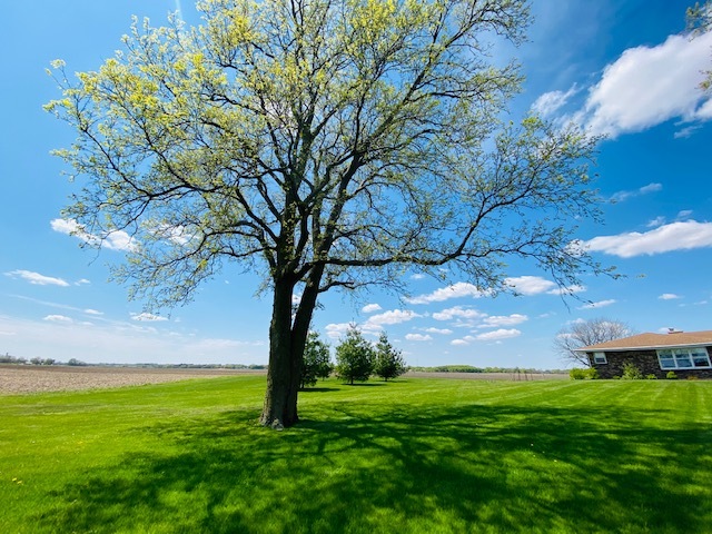 236 Rock Island Road Dixon, IL 61021 - Photo 27 of 40