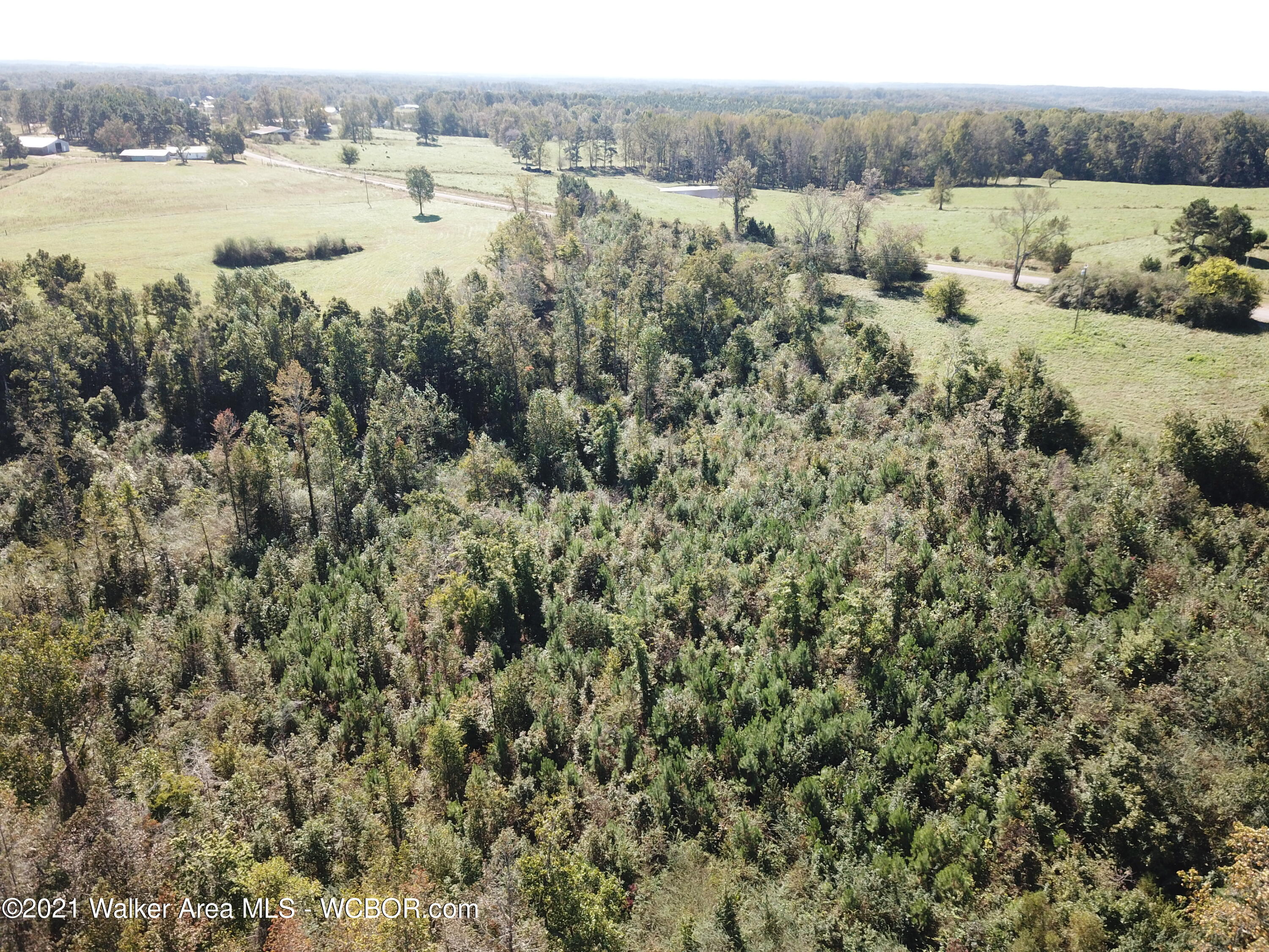 23122 County Road 41 Addison, AL 35540 - Photo 11 of 49 Gallery Image 11