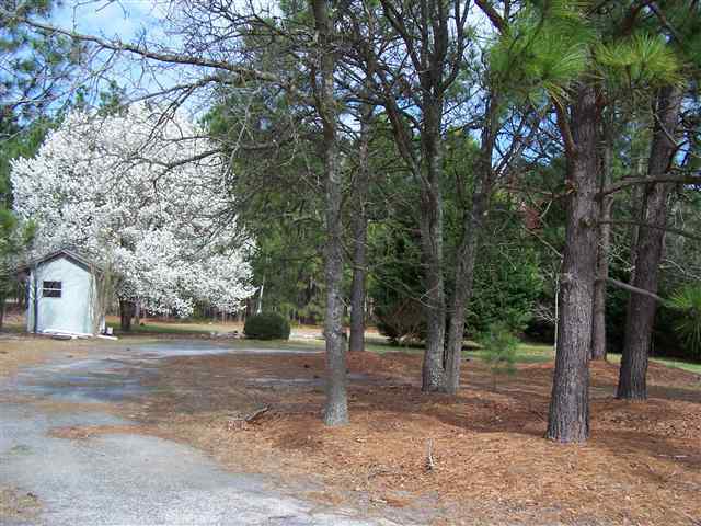 144 Robert Sands Road Aberdeen, NC 28315 - Photo 2 of 4 Additional Photo