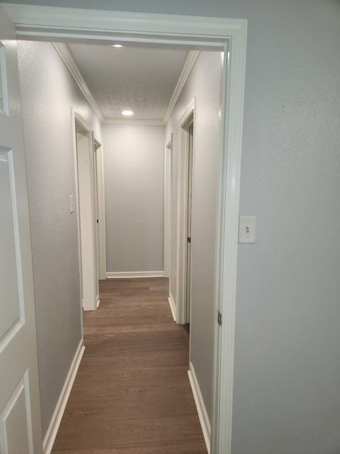 20 Bowden Road Glenmora, LA 71433 - Photo 11 of 18