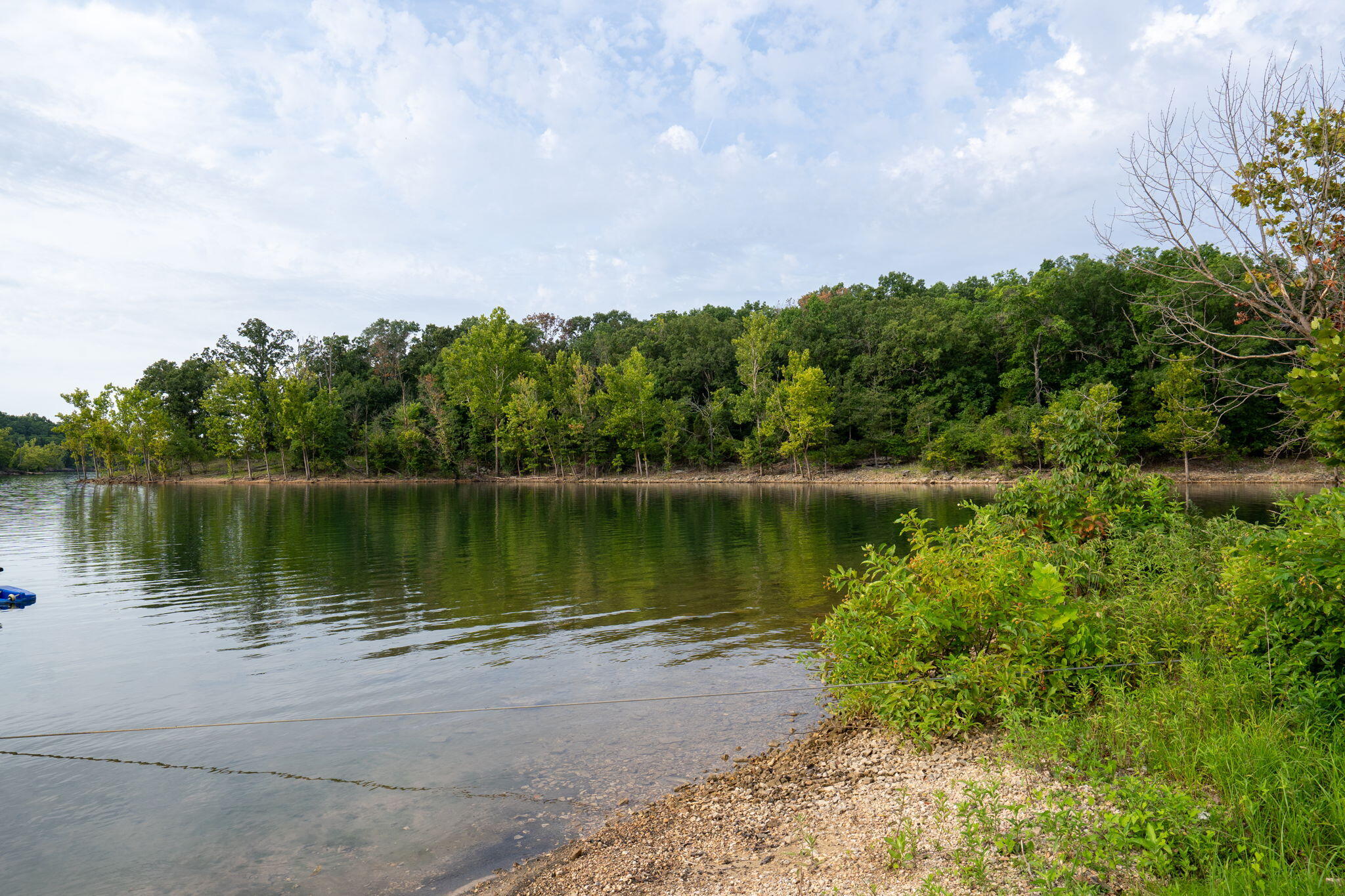567 Austin Place Reeds Spring, MO 65737 - Photo 47 of 64 567-Austin-Pl-Life-by-the-Lake