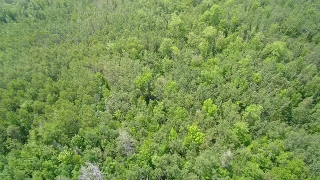 $199,999 | Tbd Trafton Road, Guilford, ME 04443