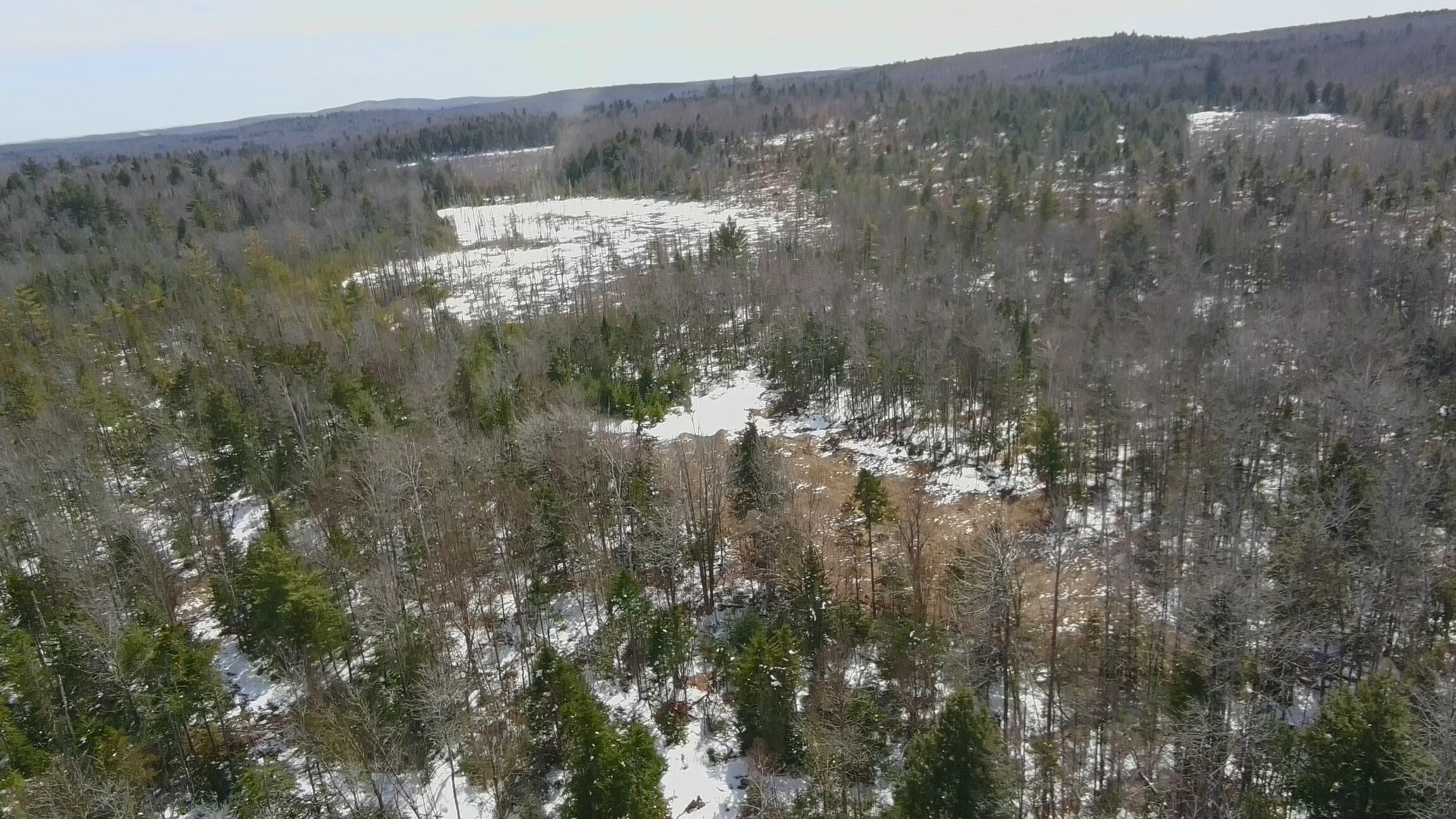 4391919_100DRONE_SING0228