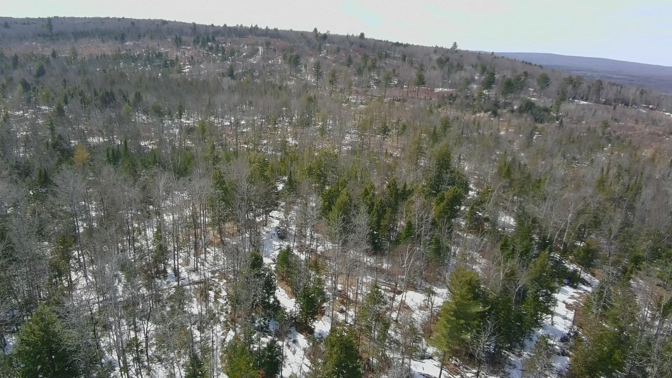 Tbd Trafton Road Parkman, ME 04443 - Photo 11 of 17 4490098_100DRONE_SING0232