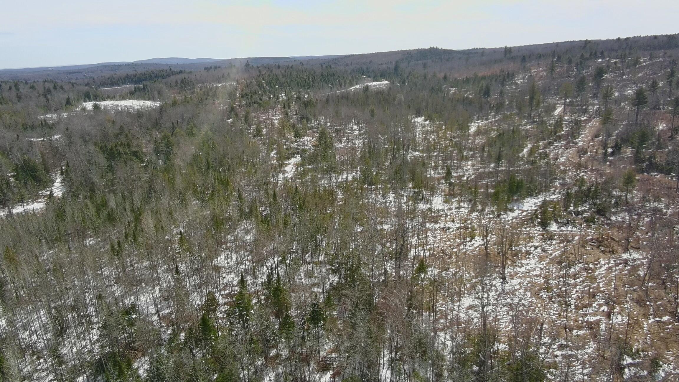 Tbd Trafton Road Parkman, ME 04443 - Photo 12 of 17 4574489_100DRONE_SING0221