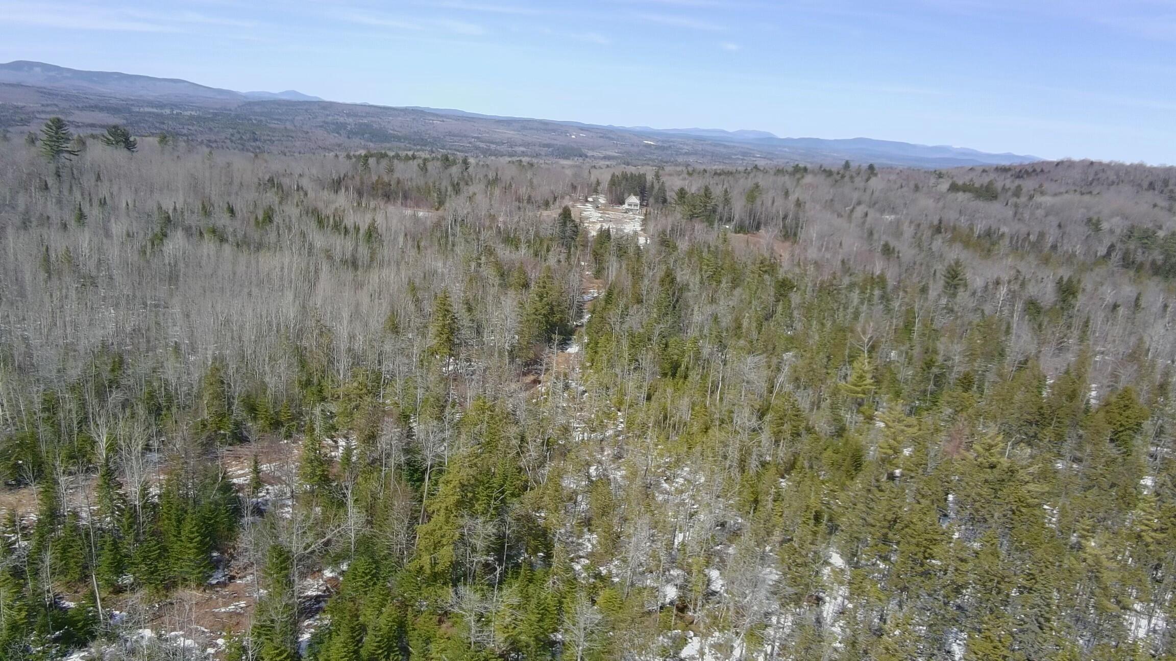 Tbd Trafton Road Guilford, ME 04443 - Photo 13 of 17 Looking back toward Trafton Rd