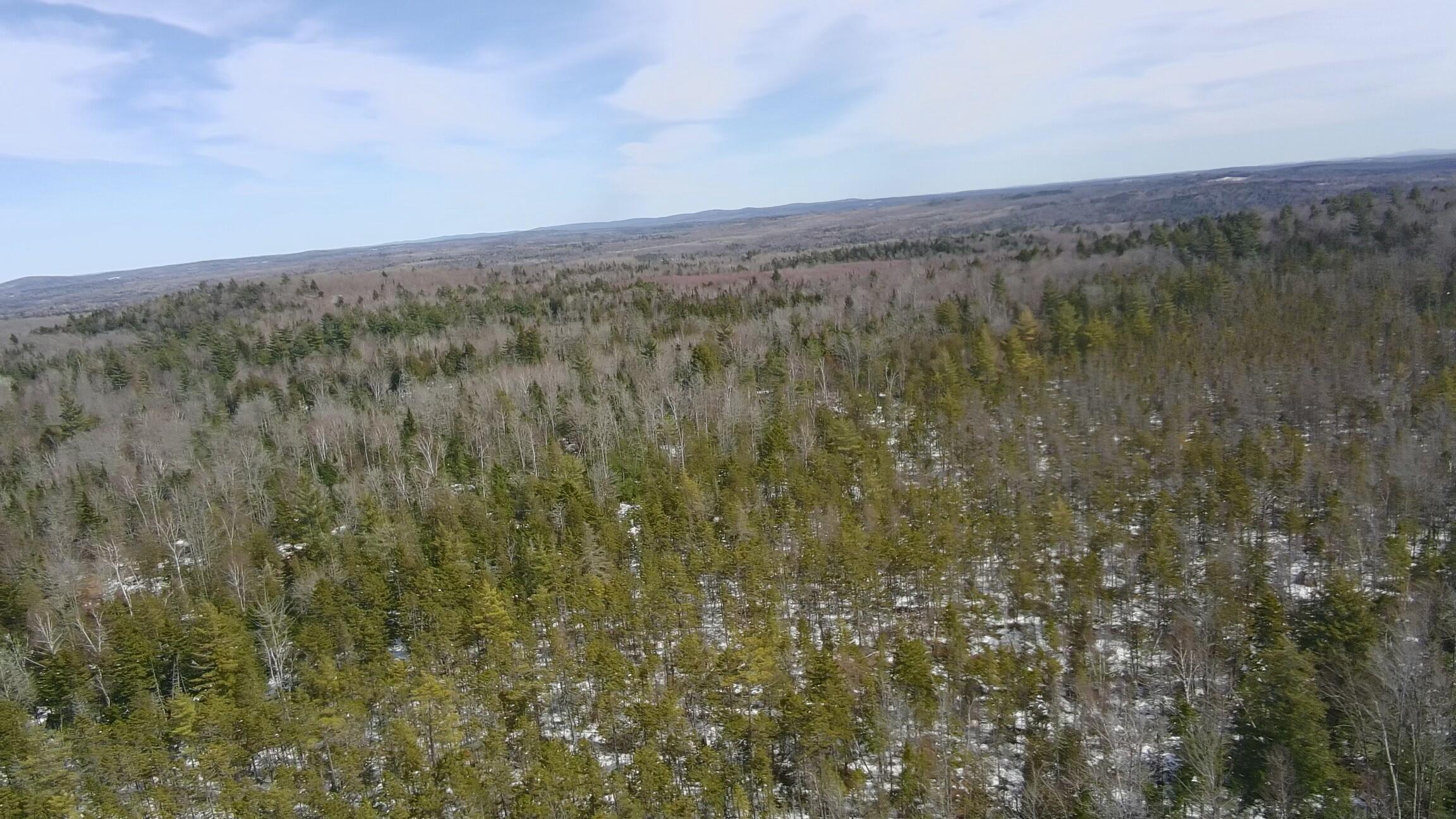 Tbd Trafton Road Guilford, ME 04443 - Photo 14 of 17 3907626_100DRONE_SING0234