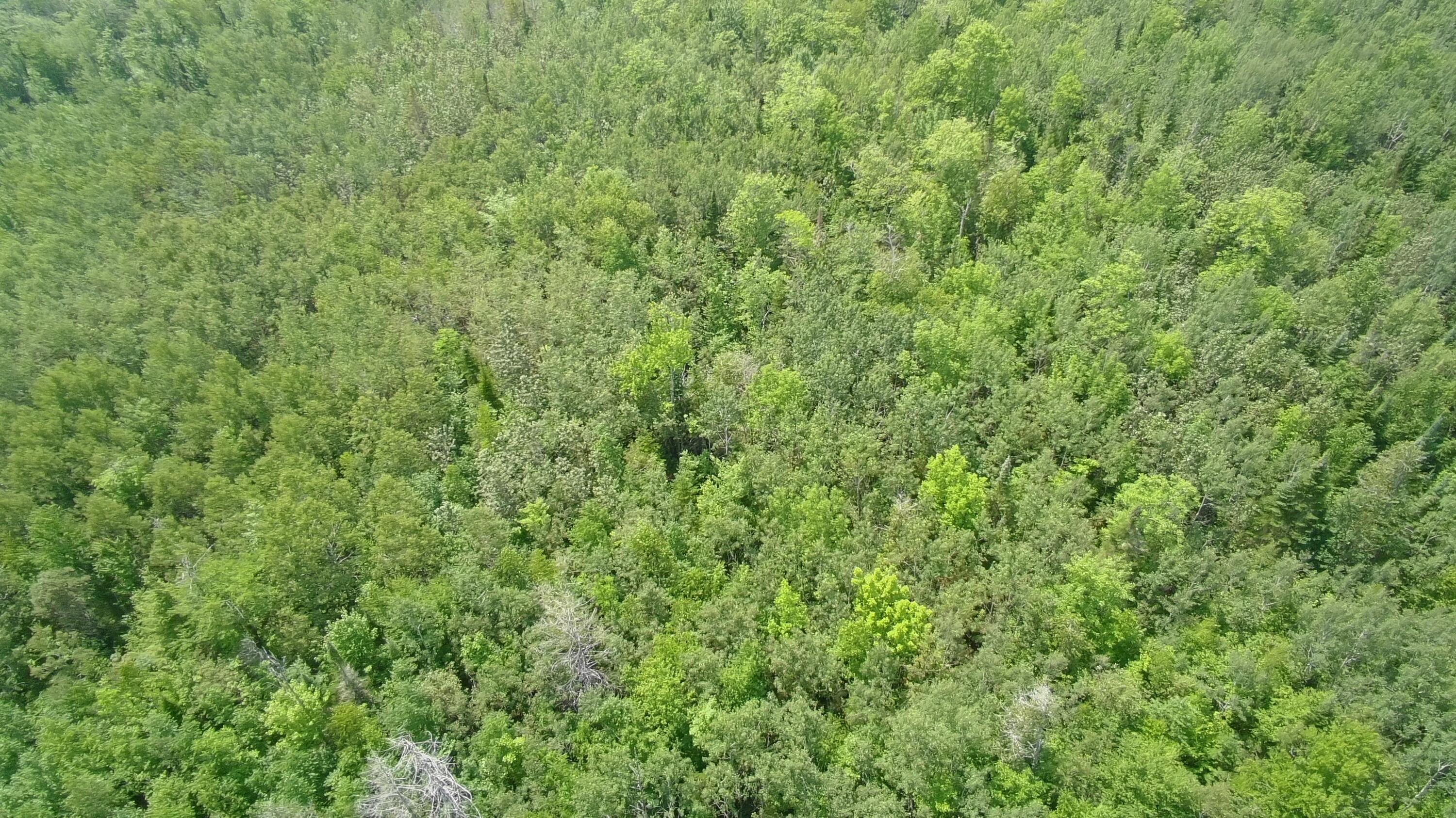 Tbd Trafton Road Parkman, ME 04443 - Photo 2 of 17 5643969_100DRONE_SING0151