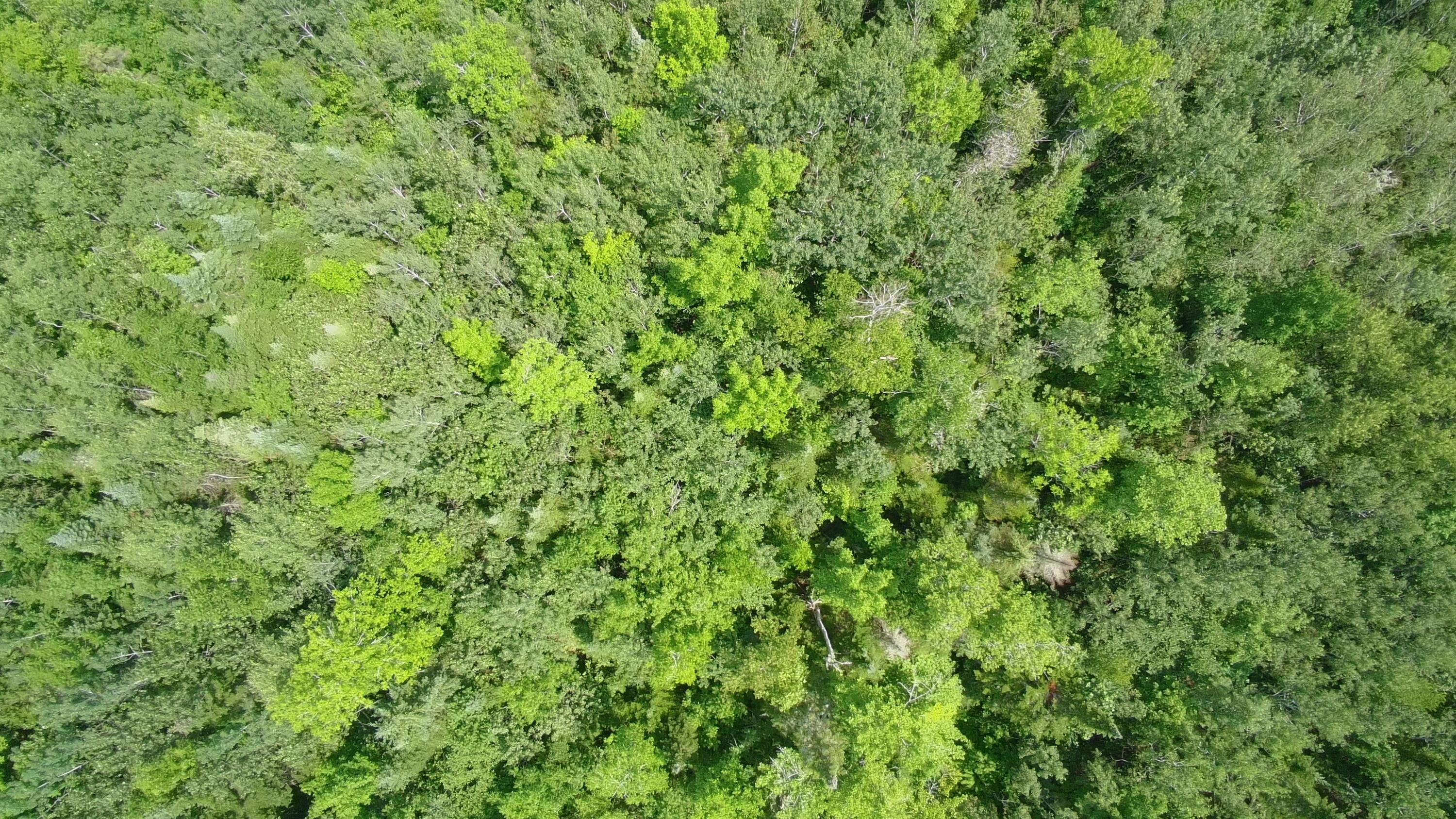 Tbd Trafton Road Parkman, ME 04443 - Photo 3 of 17 5822139_100DRONE_SING0157