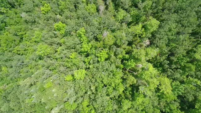 $199,999 | Tbd Trafton Road, Guilford, ME 04443