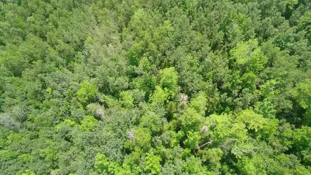 $199,999 | Tbd Trafton Road, Guilford, ME 04443