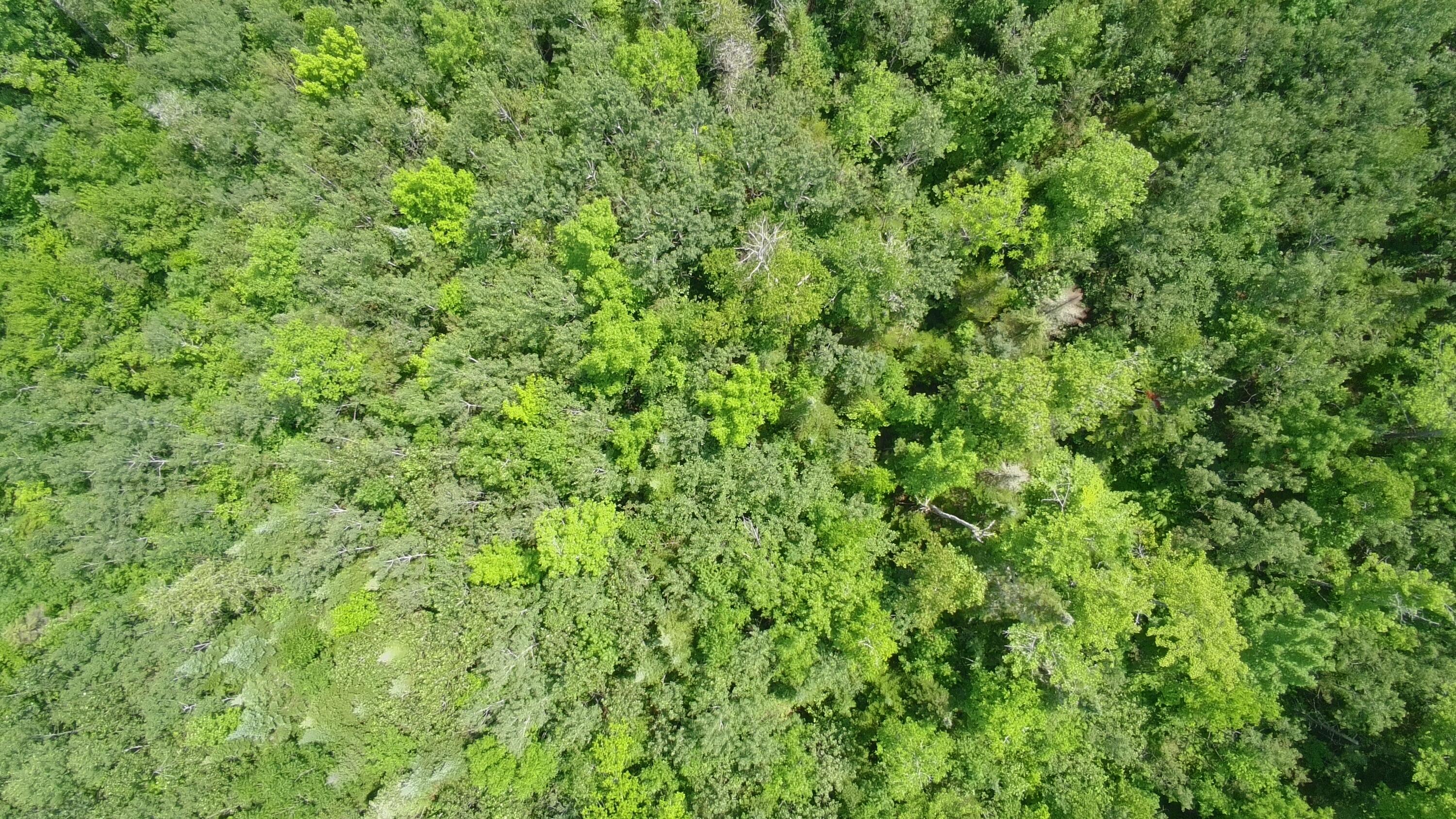 Tbd Trafton Road Parkman, ME 04443 - Photo 4 of 17 5815921_100DRONE_SING0156