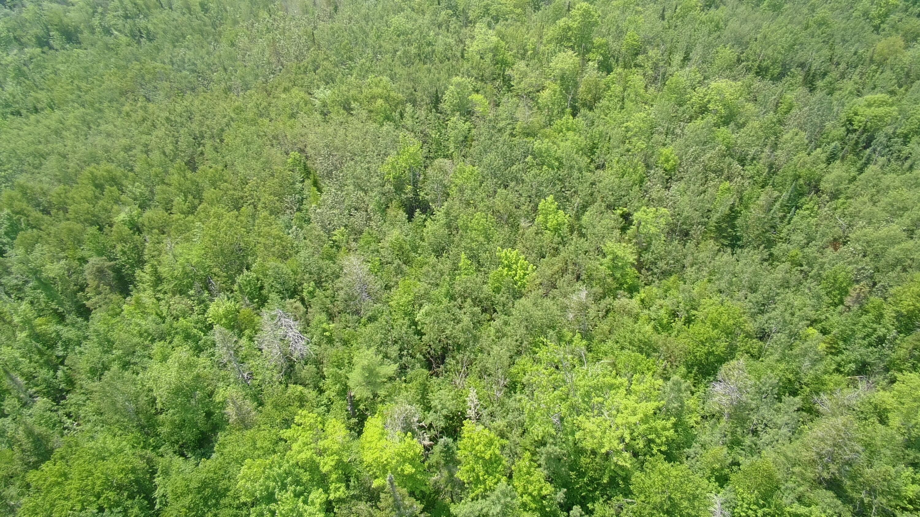 Tbd Trafton Road Guilford, ME 04443 - Photo 6 of 17 5640310_100DRONE_SING0150