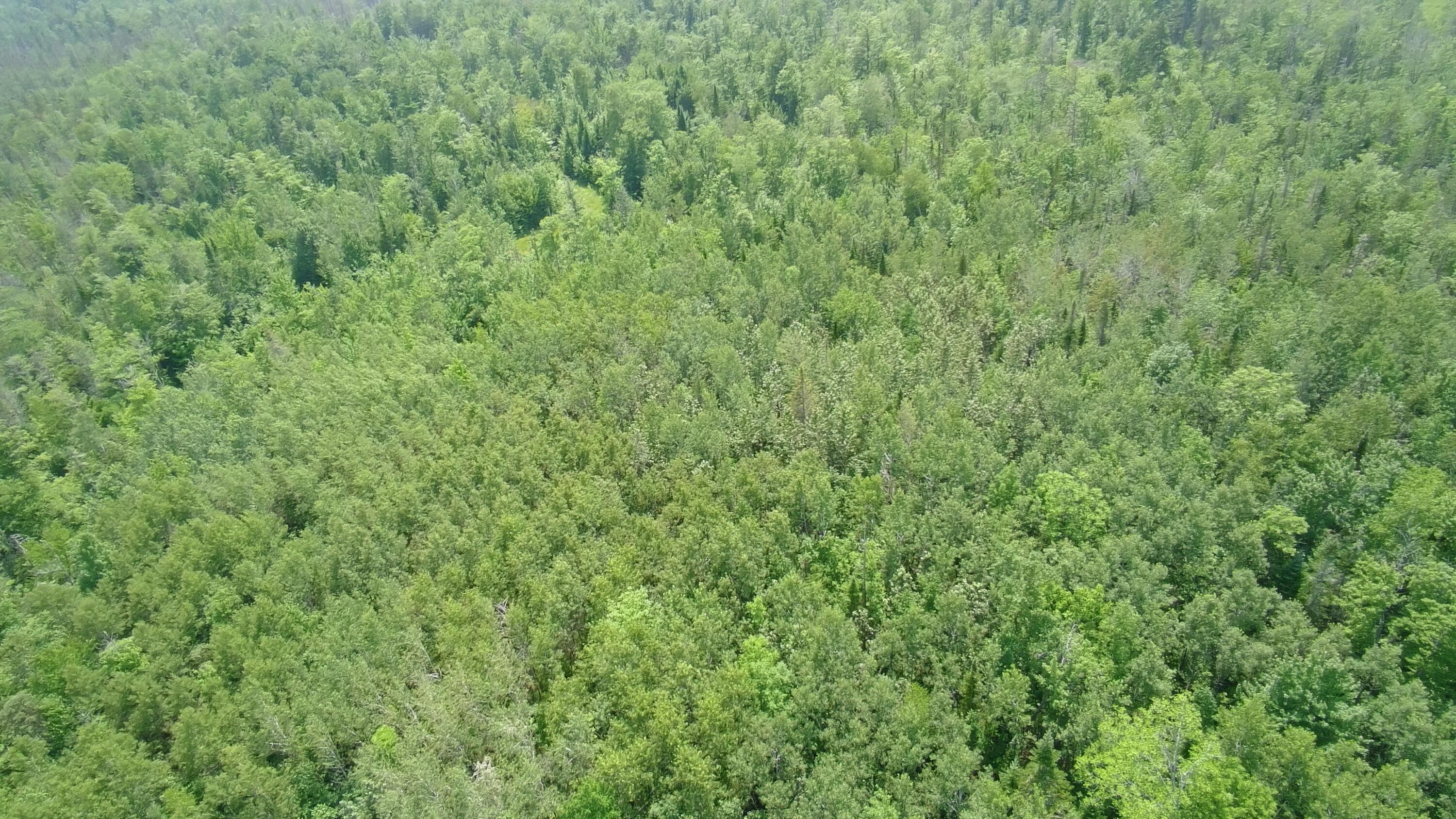 Tbd Trafton Road Parkman, ME 04443 - Photo 6 of 17 5293612_100DRONE_SING0154