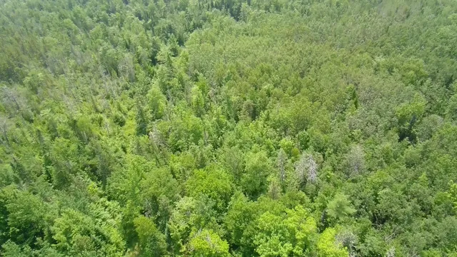 $199,999 | Tbd Trafton Road, Guilford, ME 04443