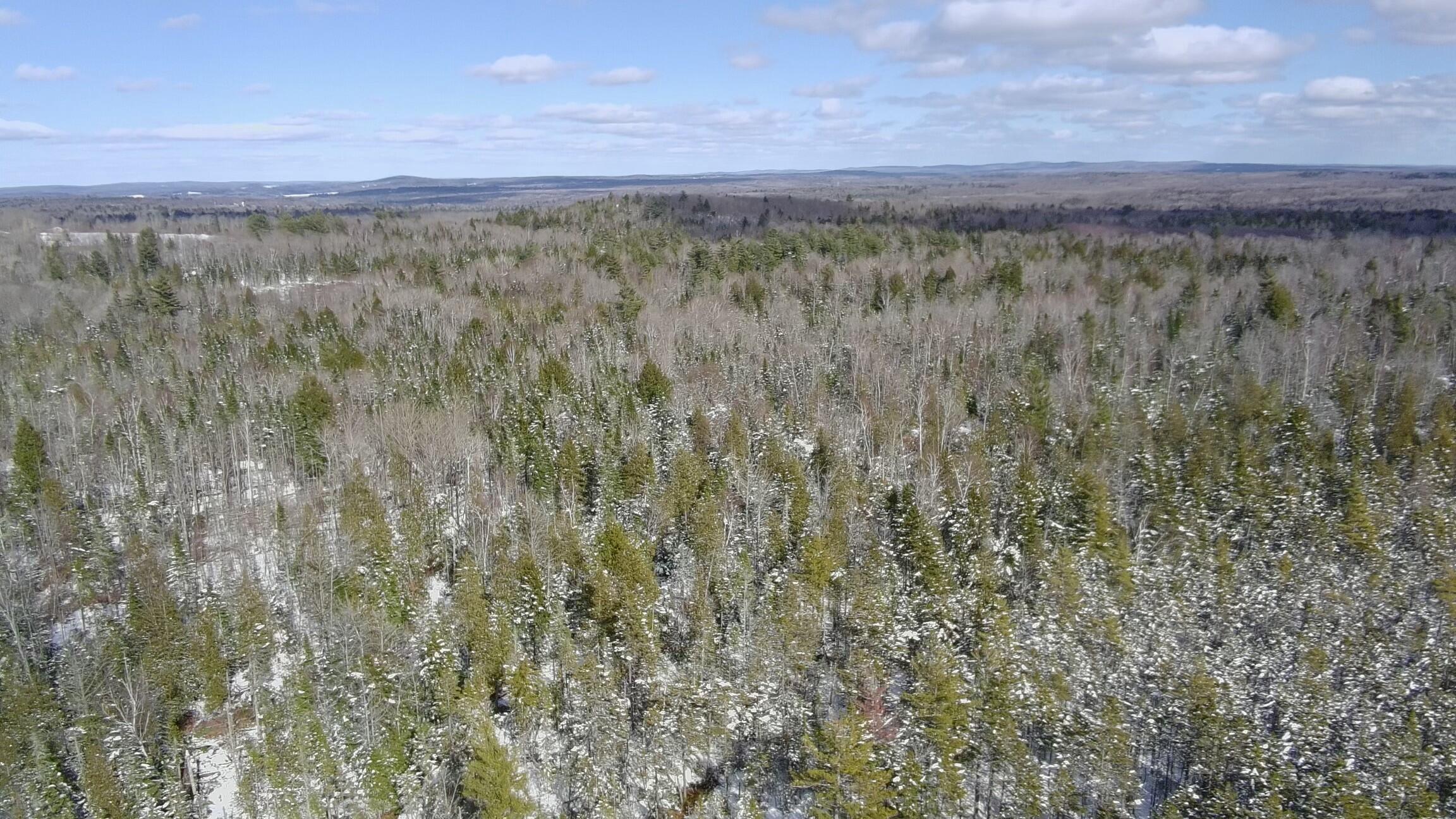 Tbd Trafton Road Guilford, ME 04443 - Photo 9 of 17 4479970_100DRONE_SING0219