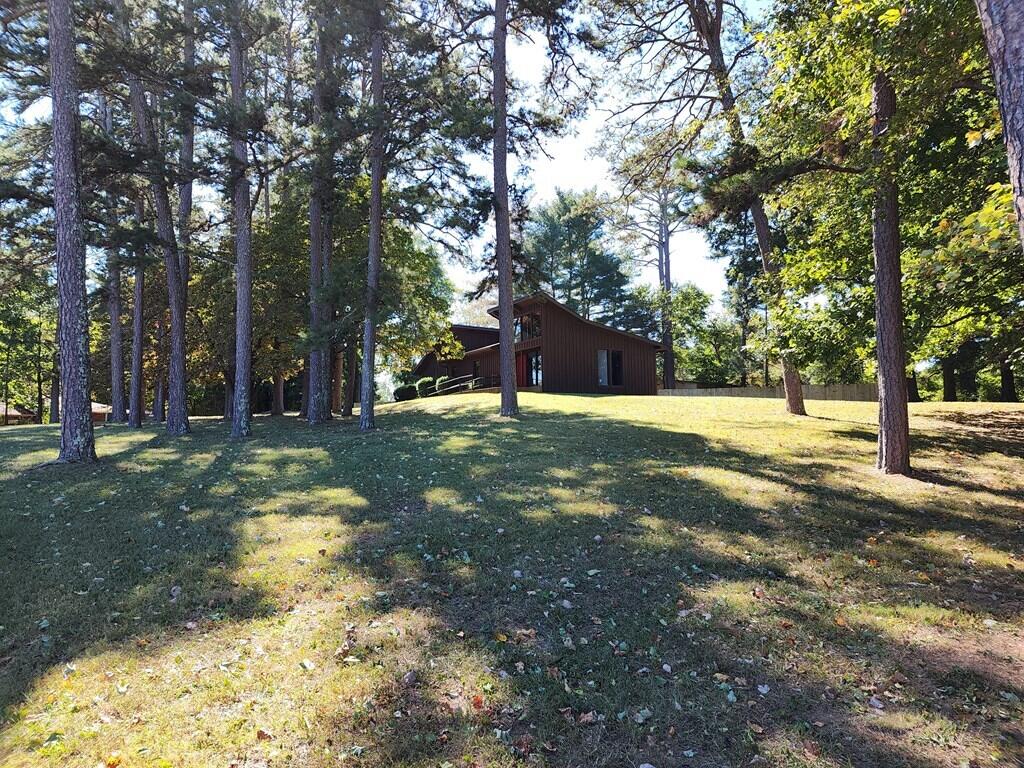 395 River Road Decatur, TN 37322 - Photo 6 of 38 395-6