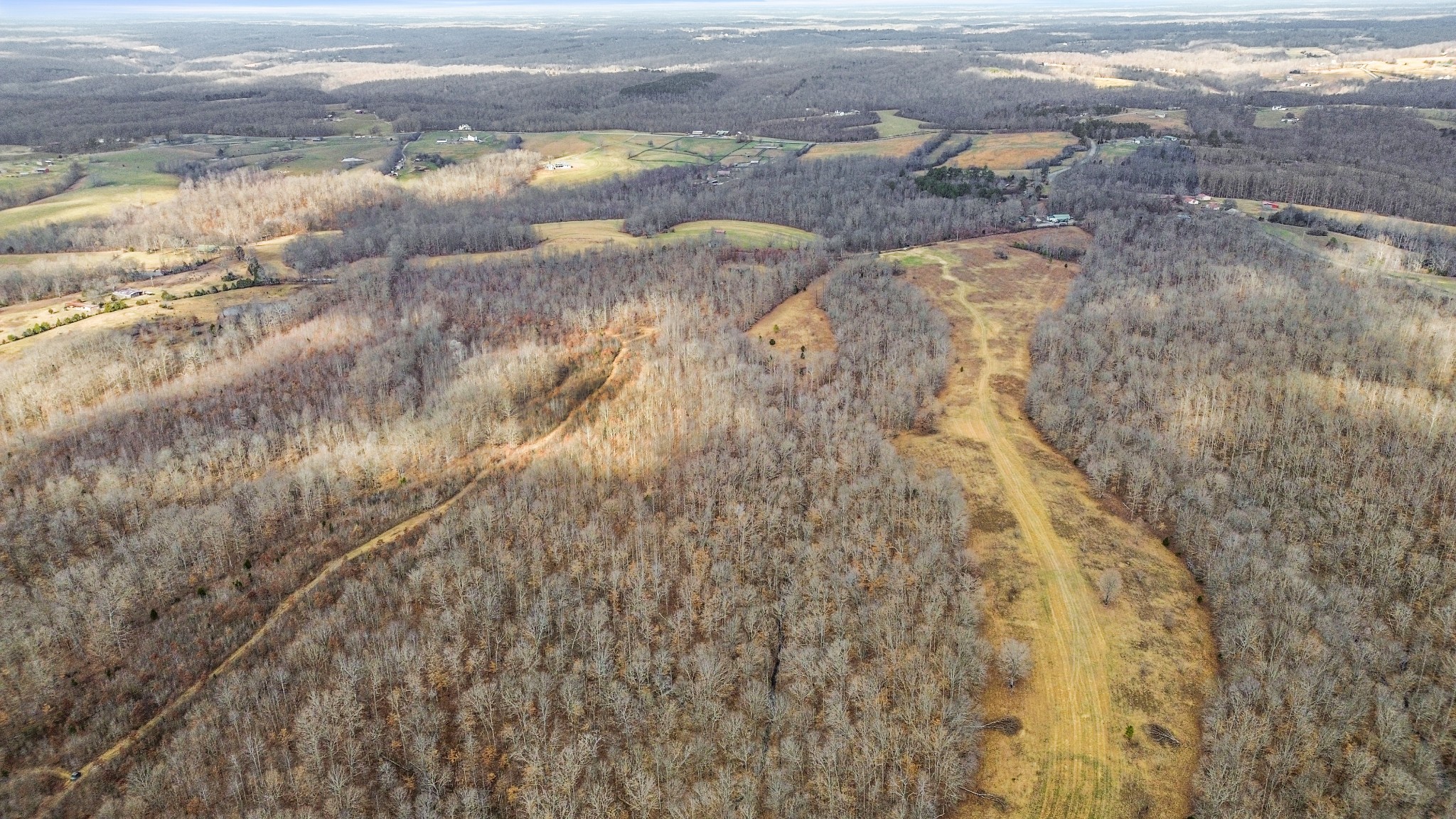 0 Shoals Branch Road Primm Springs, TN 38476 - Photo 11 of 35