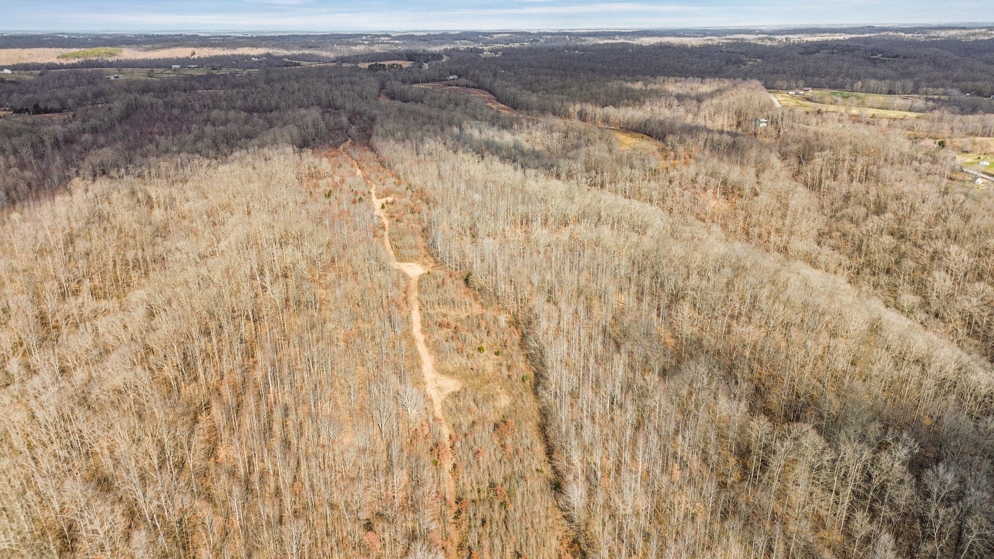 0 Shoals Branch Road Primm Springs, TN 38476 - Photo 15 of 35