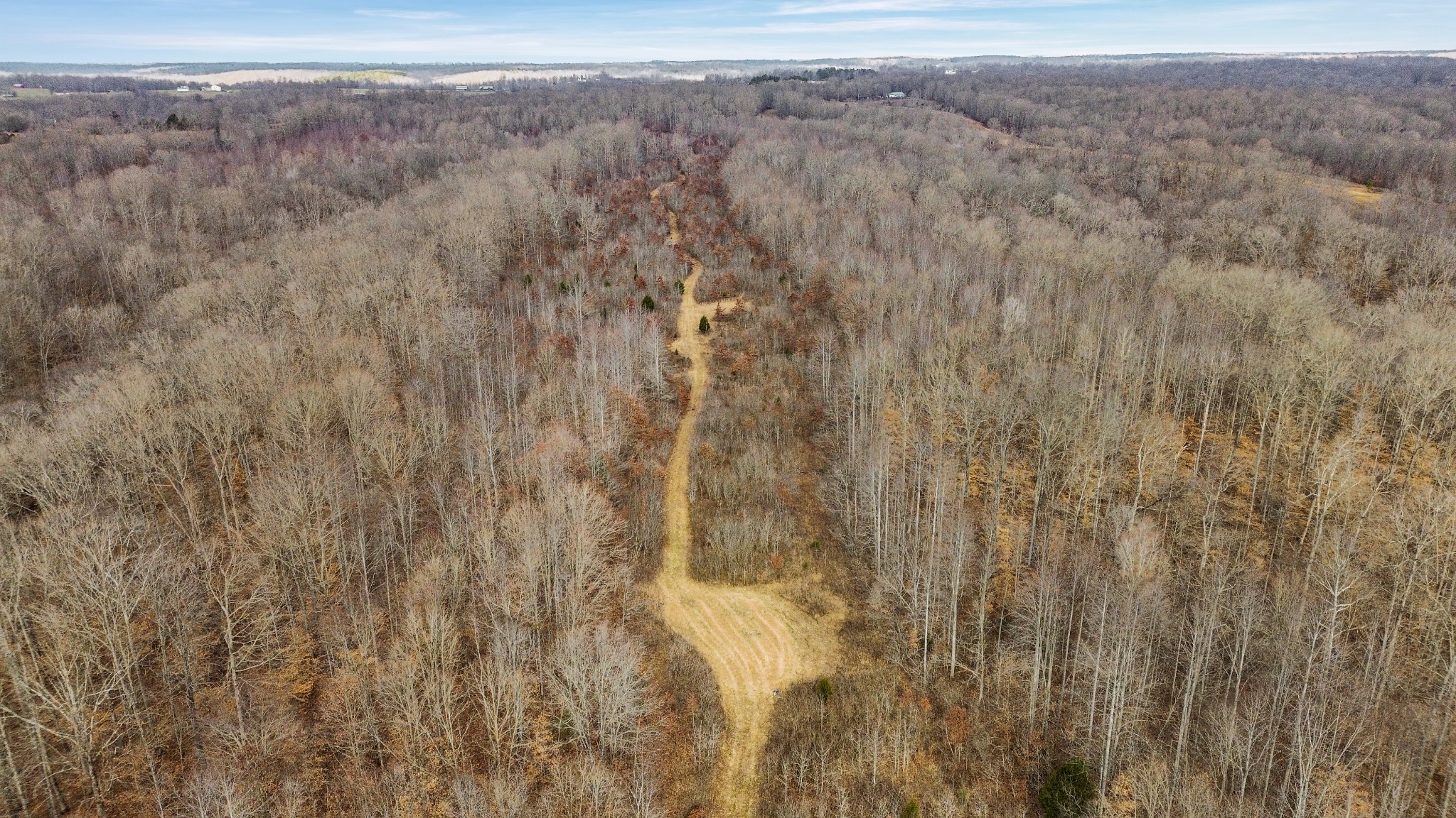 0 Shoals Branch Road Primm Springs, TN 38476 - Photo 16 of 35