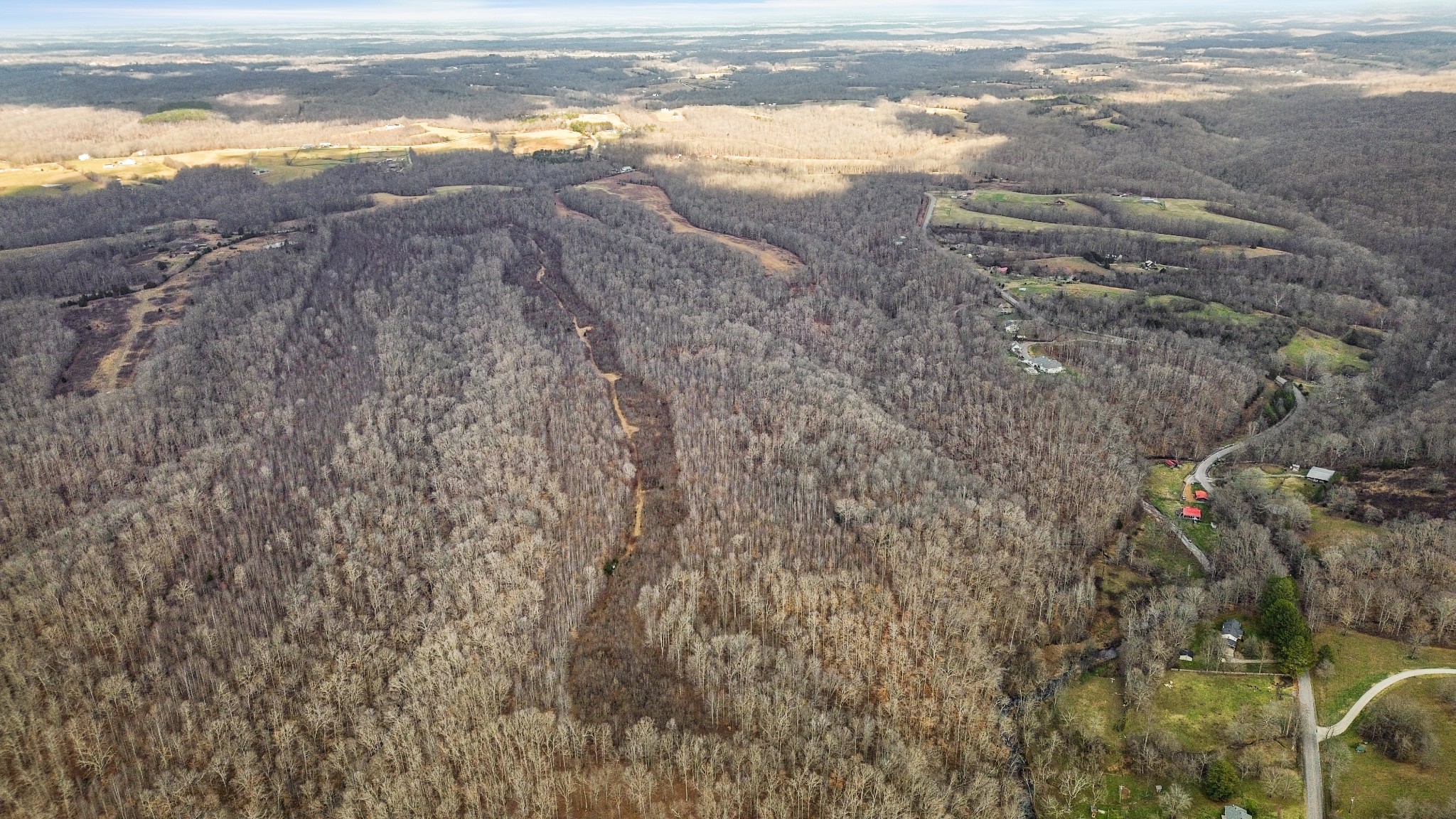 0 Shoals Branch Road Primm Springs, TN 38476 - Photo 18 of 35