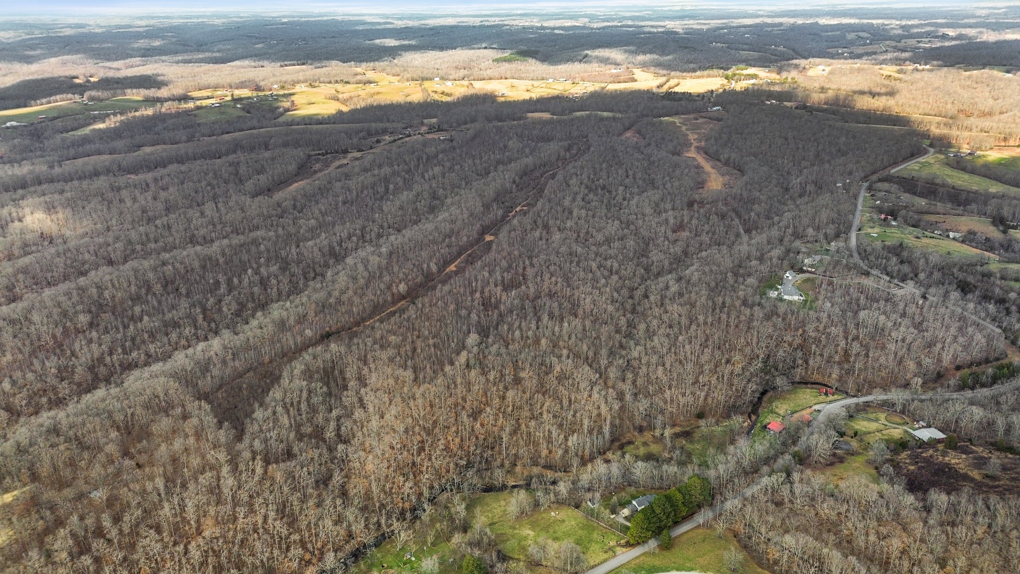 0 Shoals Branch Road Primm Springs, TN 38476 - Photo 19 of 35