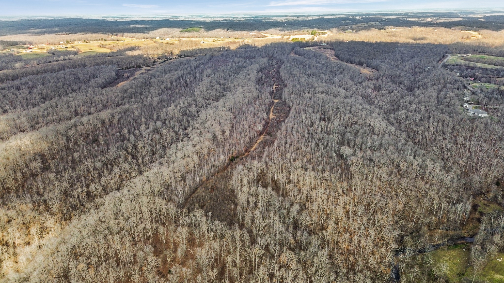 0 Shoals Branch Road Primm Springs, TN 38476 - Photo 20 of 35