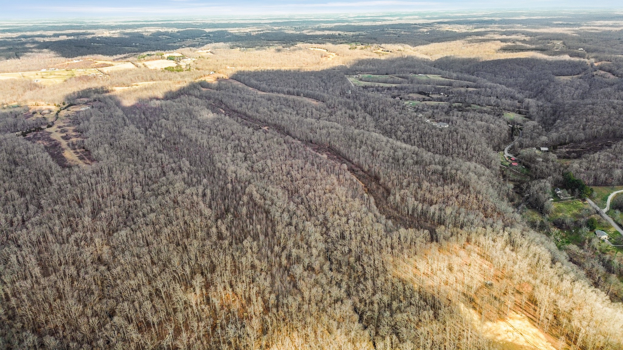 0 Shoals Branch Road Primm Springs, TN 38476 - Photo 21 of 35