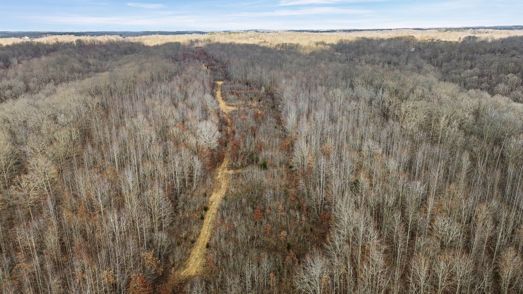 0 Shoals Branch Road Primm Springs, TN 38476 - Photo 22 of 35