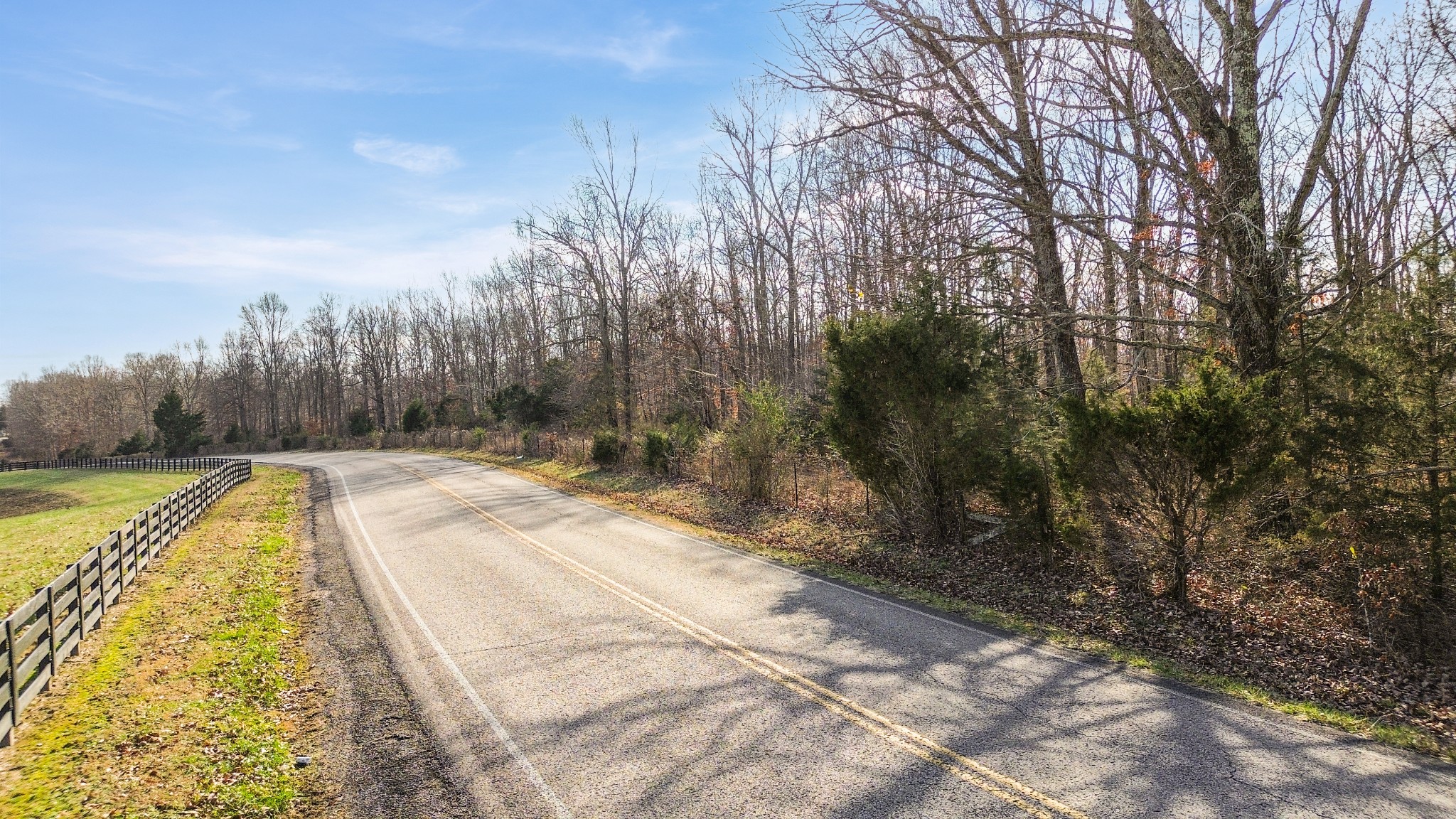 0 Shoals Branch Road Primm Springs, TN 38476 - Photo 29 of 35