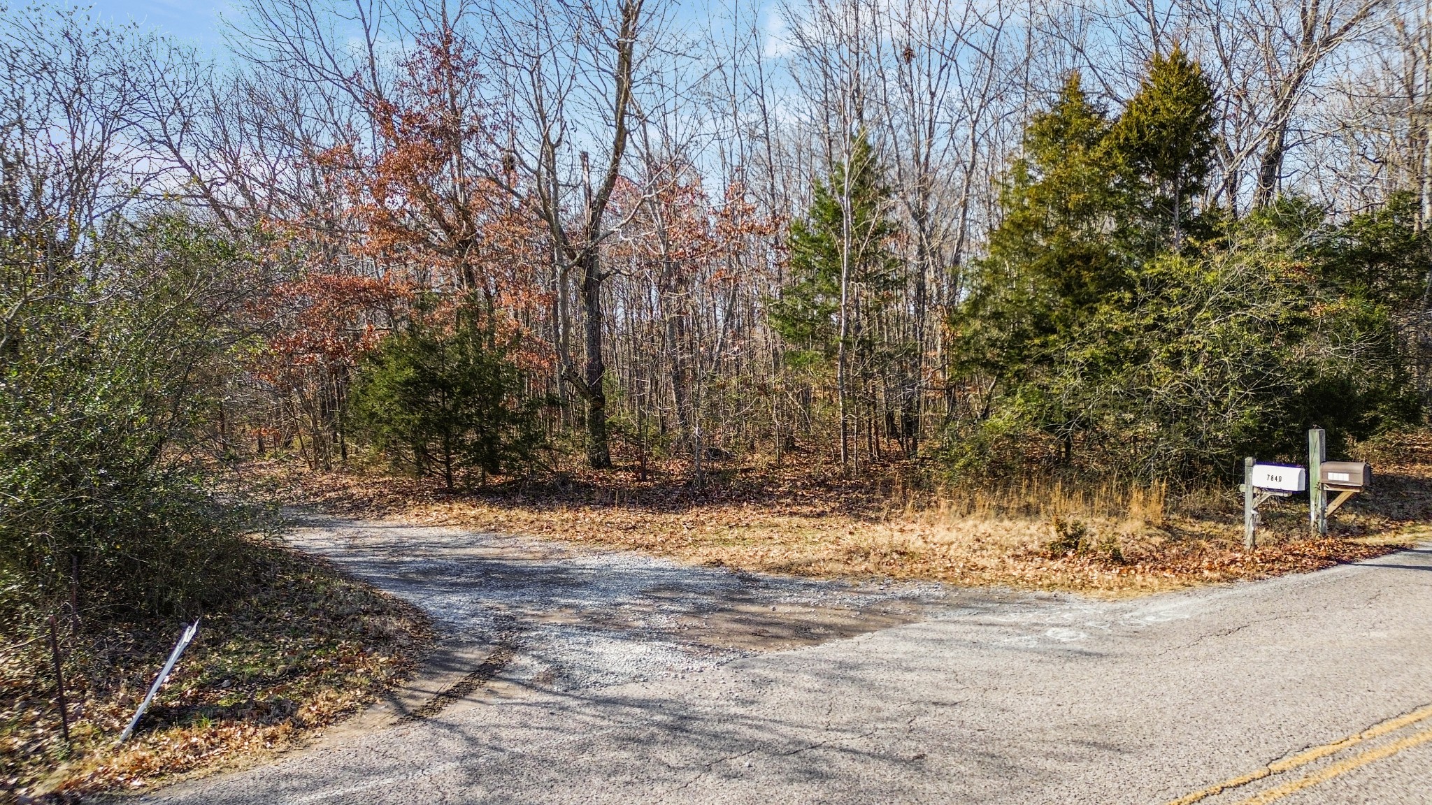 0 Shoals Branch Road Primm Springs, TN 38476 - Photo 32 of 35