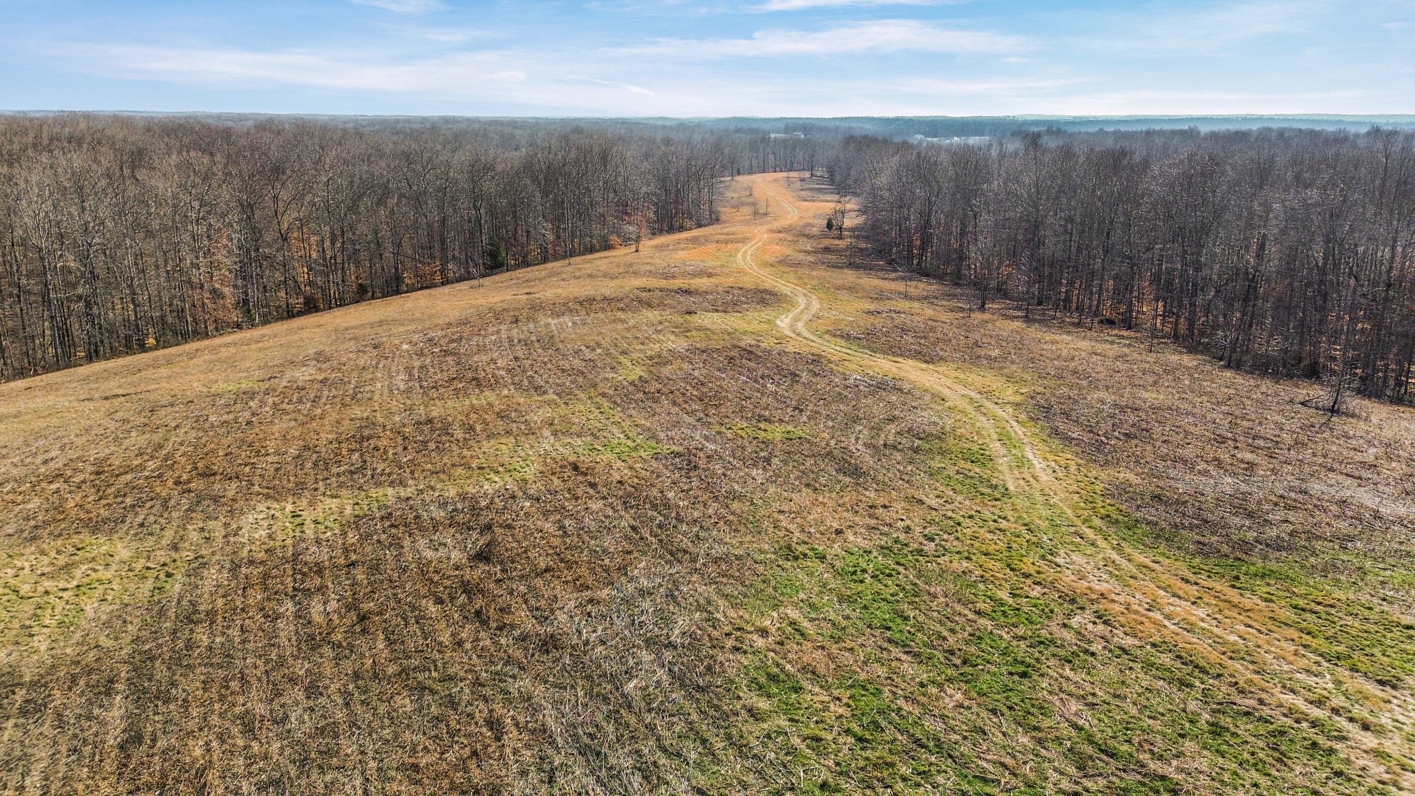 0 Shoals Branch Road Primm Springs, TN 38476 - Photo 33 of 35