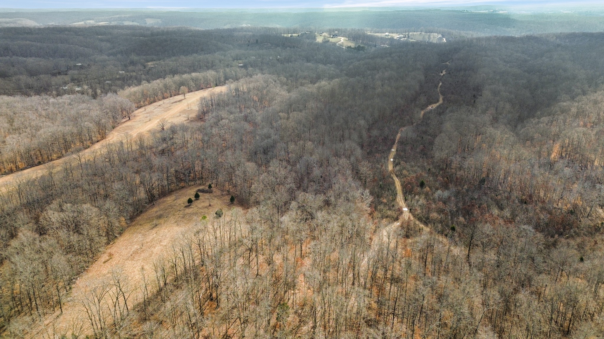 0 Shoals Branch Road Primm Springs, TN 38476 - Photo 7 of 35