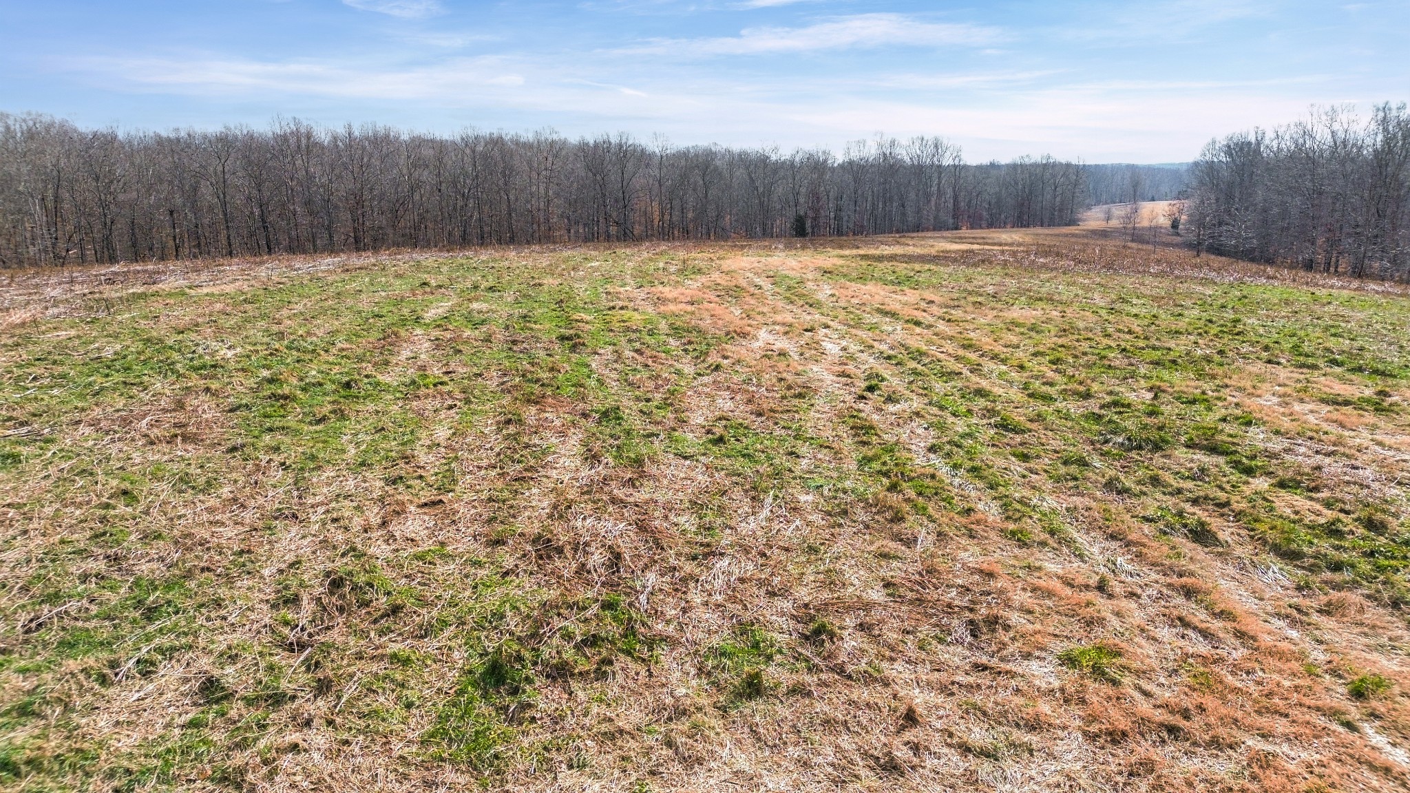 0 Shoals Branch Road Primm Springs, TN 38476 - Photo 8 of 35