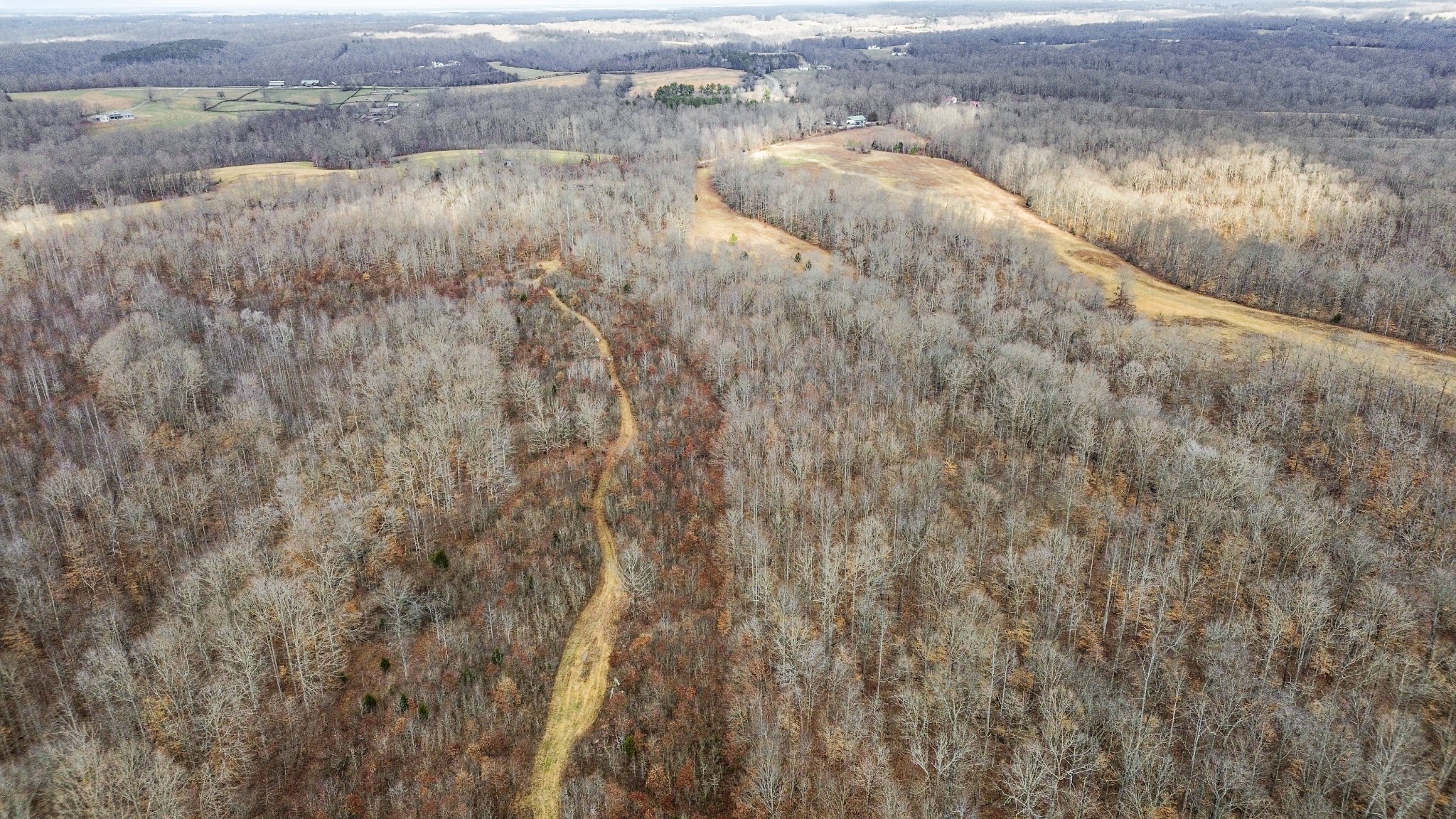 0 Shoals Branch Road Primm Springs, TN 38476 - Photo 9 of 35