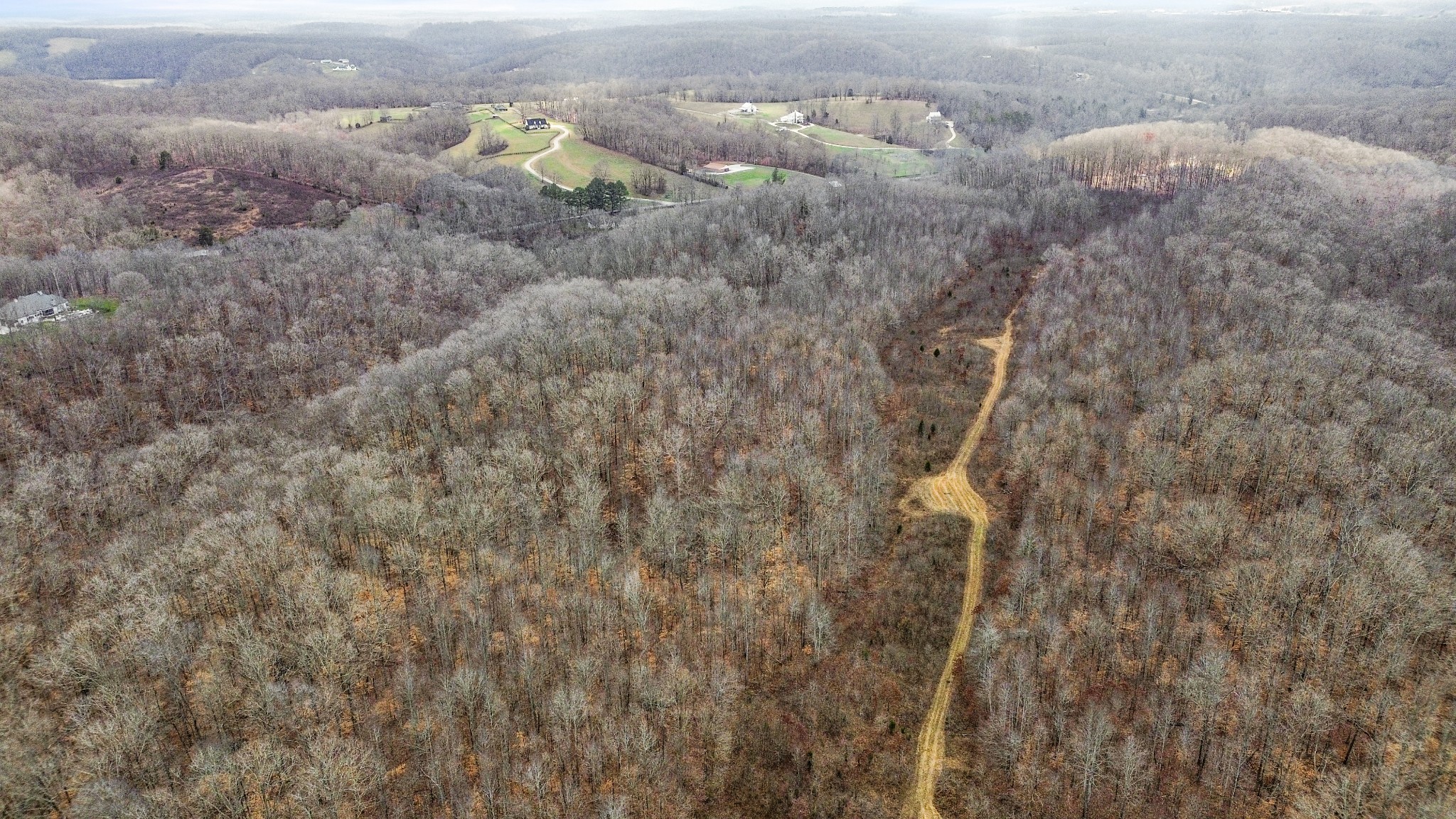 0 Shoals Branch Road Primm Springs, TN 38476 - Photo 10 of 35