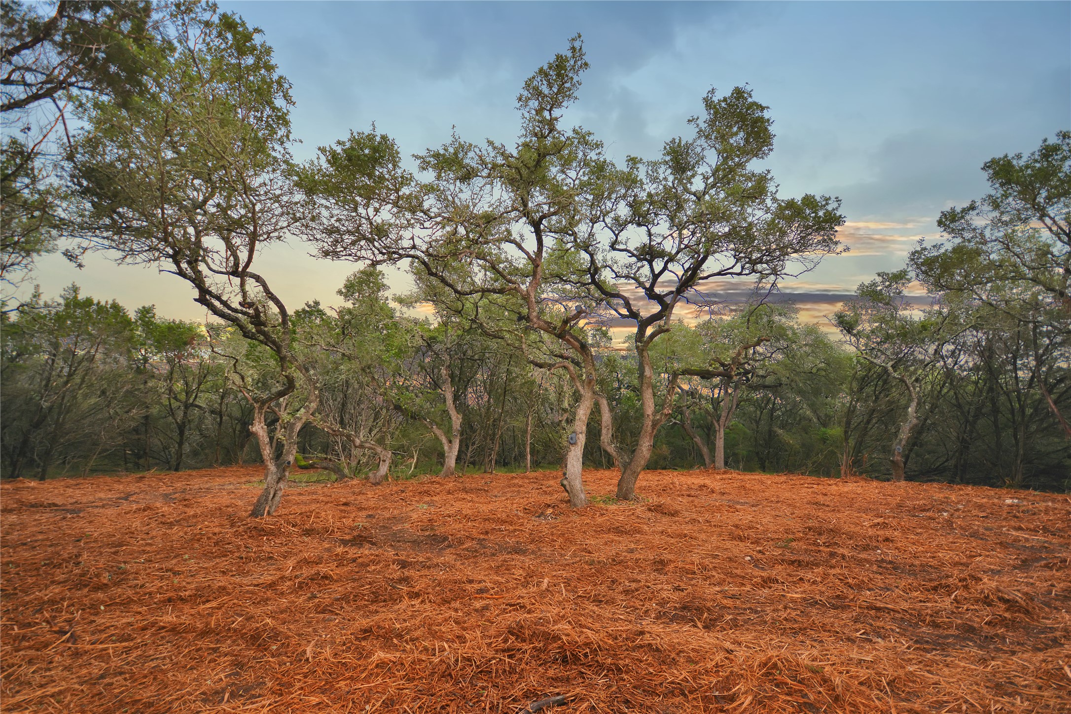 Lot 17 Sierra Loma Drive Wimberley, TX 78676 - Photo 10 of 10 Gallery Image 10