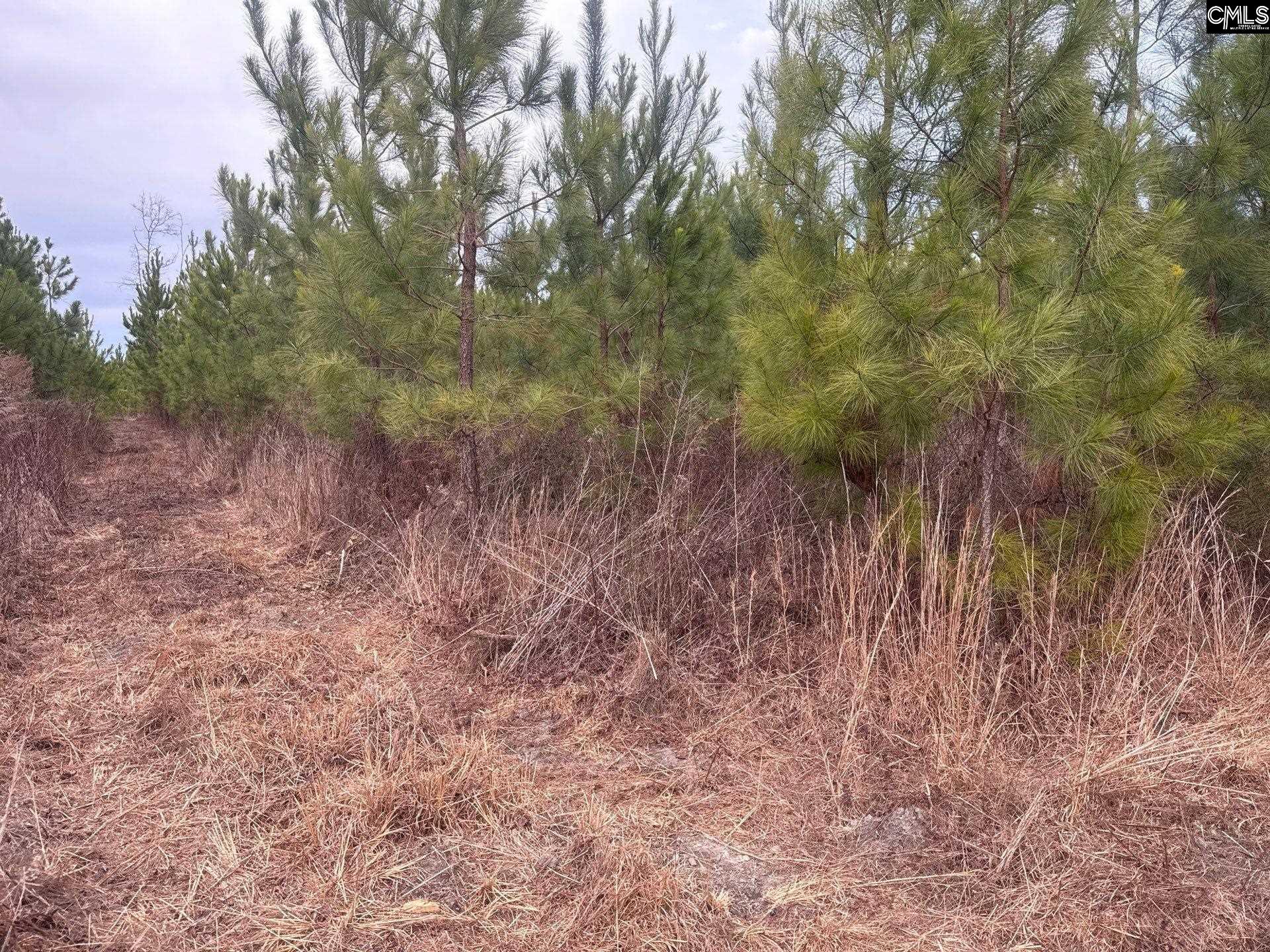 9 Quattlebaum Road, Unit QBF 9 Leesville, SC 29070 - Photo 10 of 12