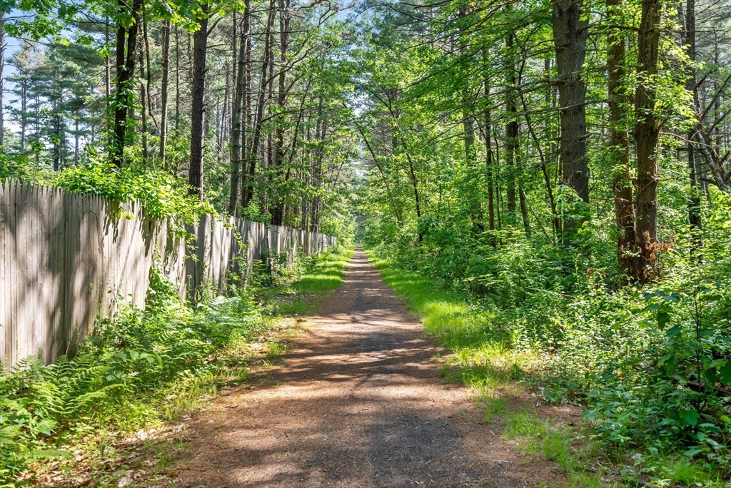 87 R Ruggles Street Gilbertville, MA 01031 - Photo 31 of 39 a pathway of a yard