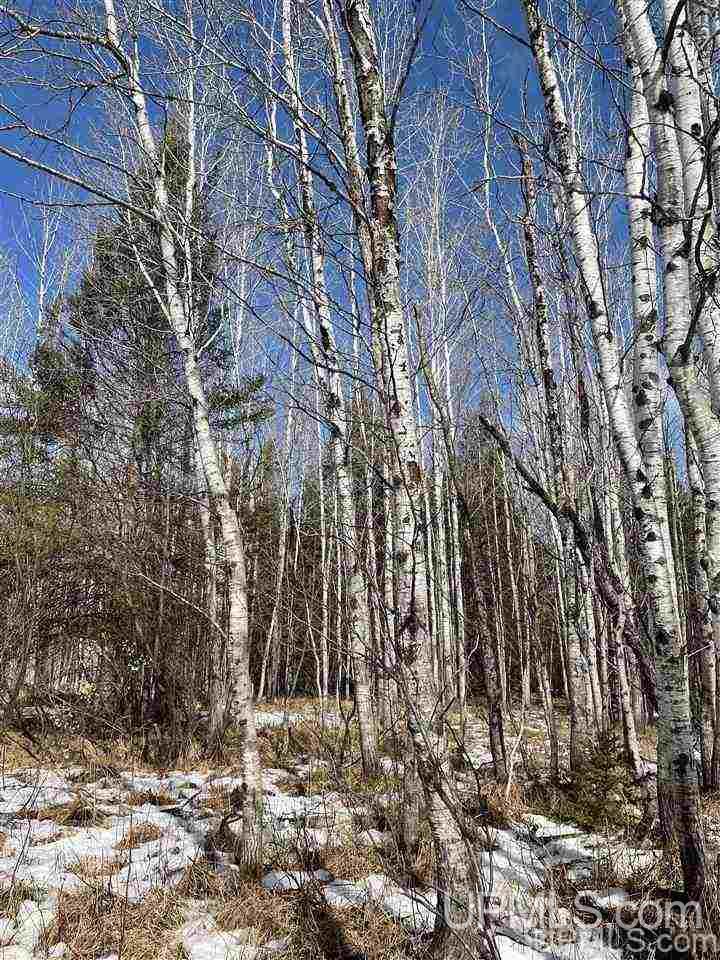 Tbd Tbd Co Road, Unit 1 Marquette, MI 49855 - Photo 35 of 50