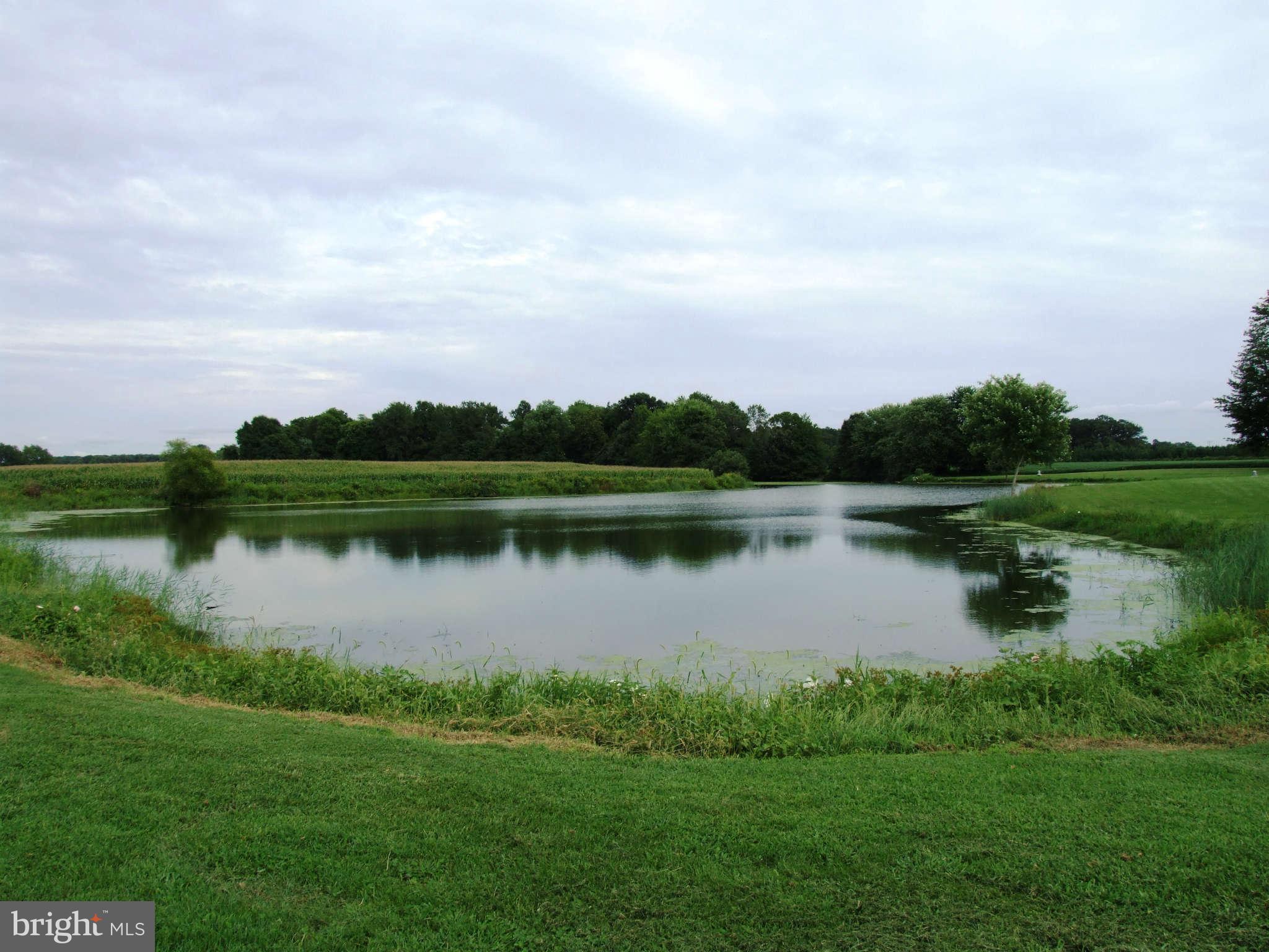Villa Road Easton, MD 21601 - Photo 10 of 30 Beautiful Pond