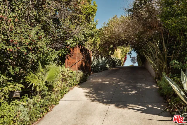 a view of a yard with plants and trees